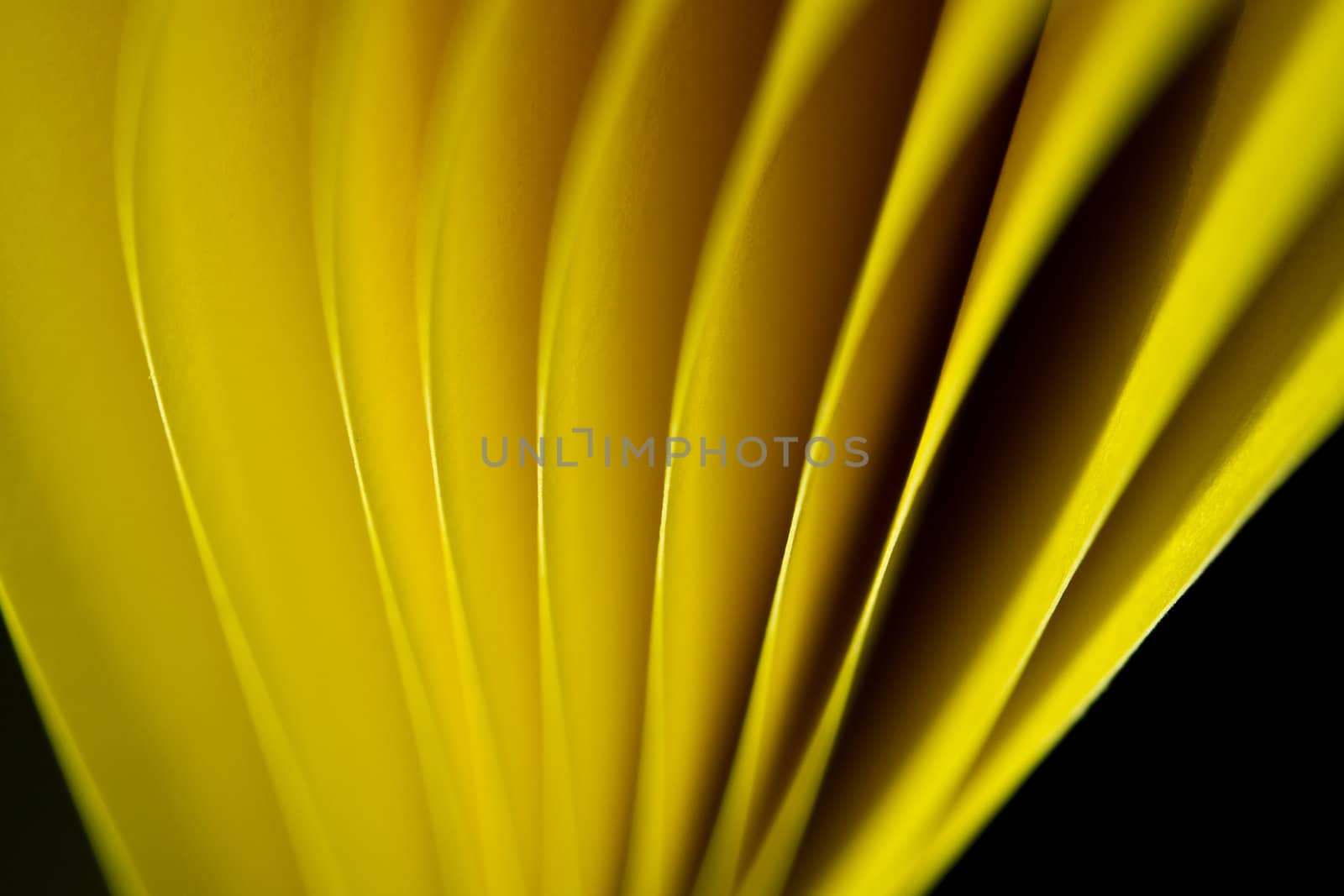 Yellow A4 paper illuminated by LED lights and twisted with black background