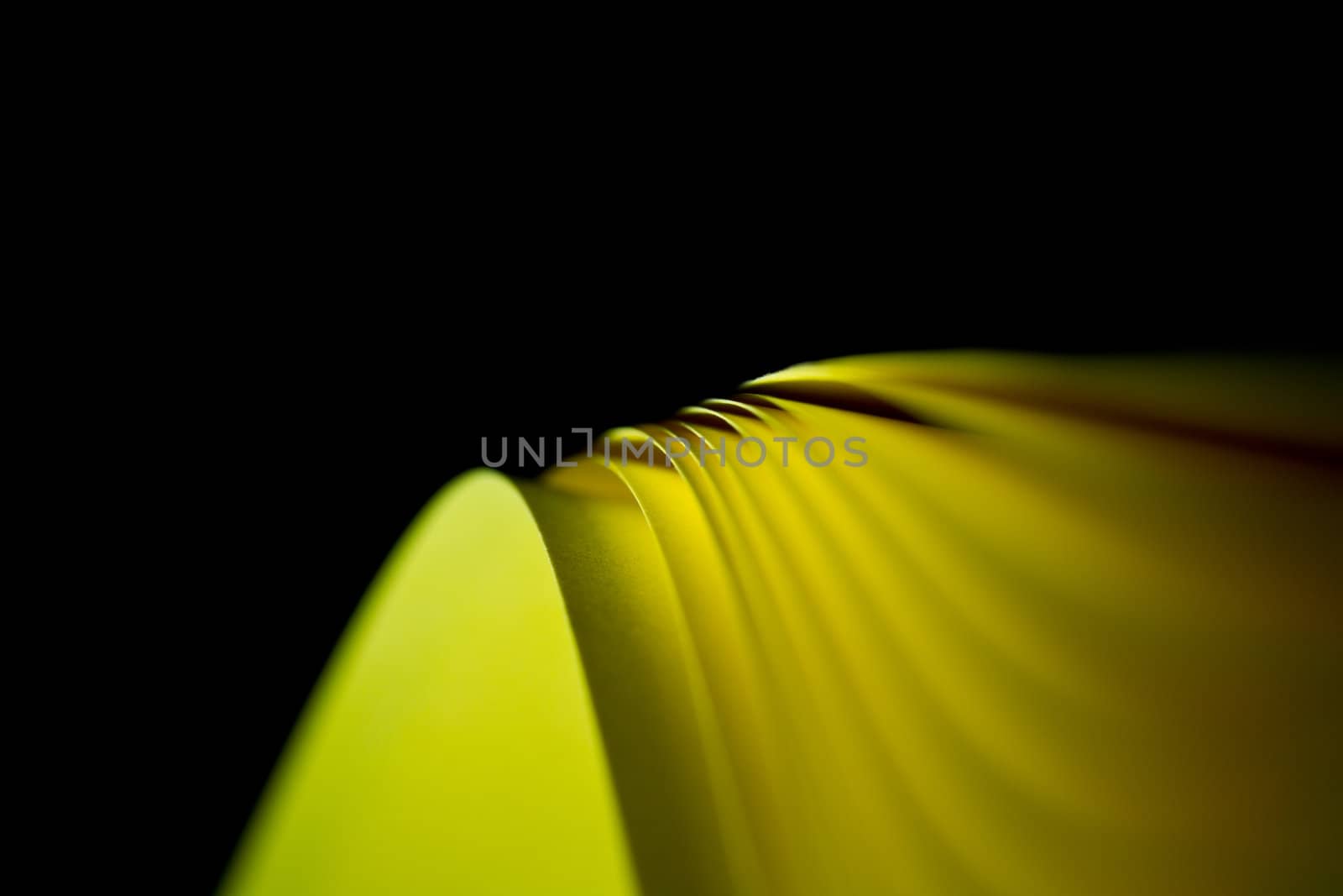 Close up of the yellow A4 paper twisted and illuminated by LED lights