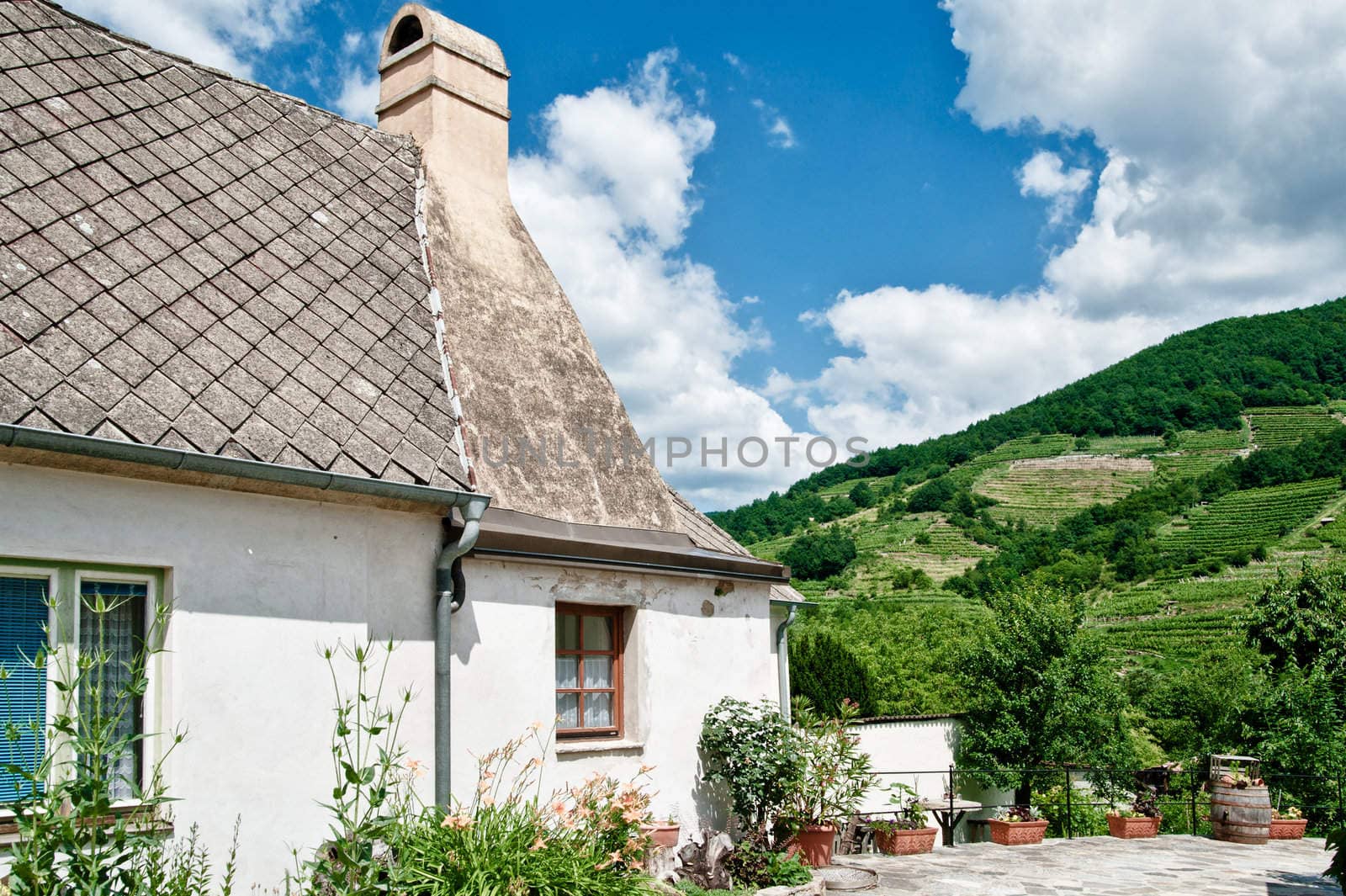 Cottage in the Vineyard of Wachau, Lower Austria