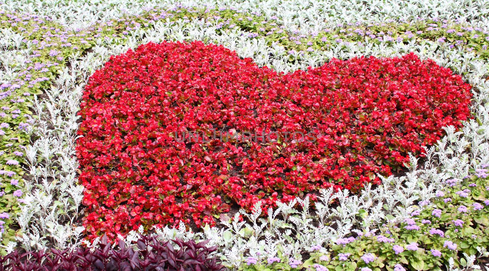 Heart on flower bed