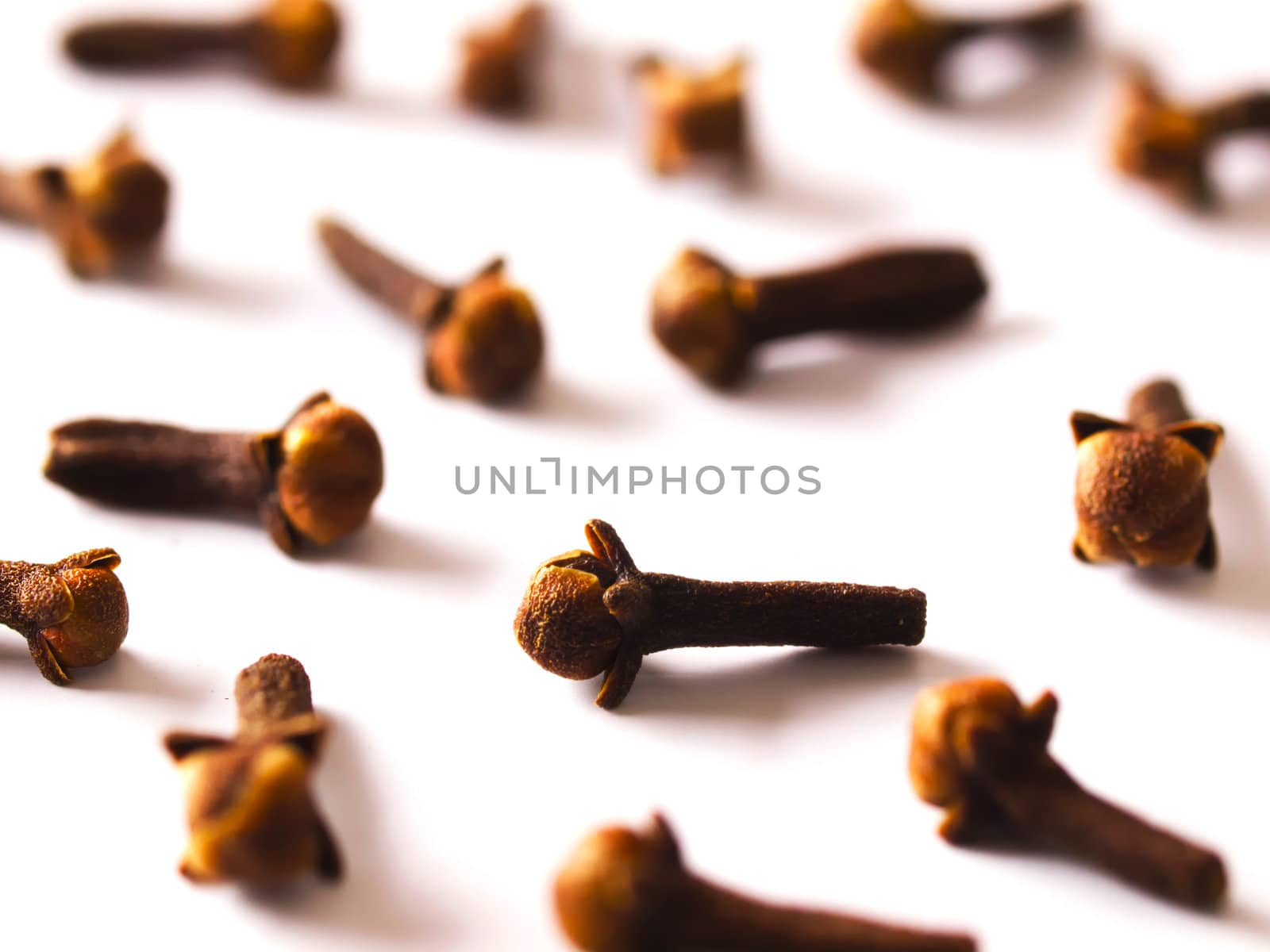 close up of cloves on white
