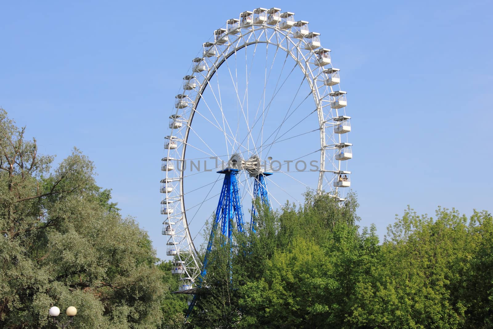 Ferris wheel in summer park