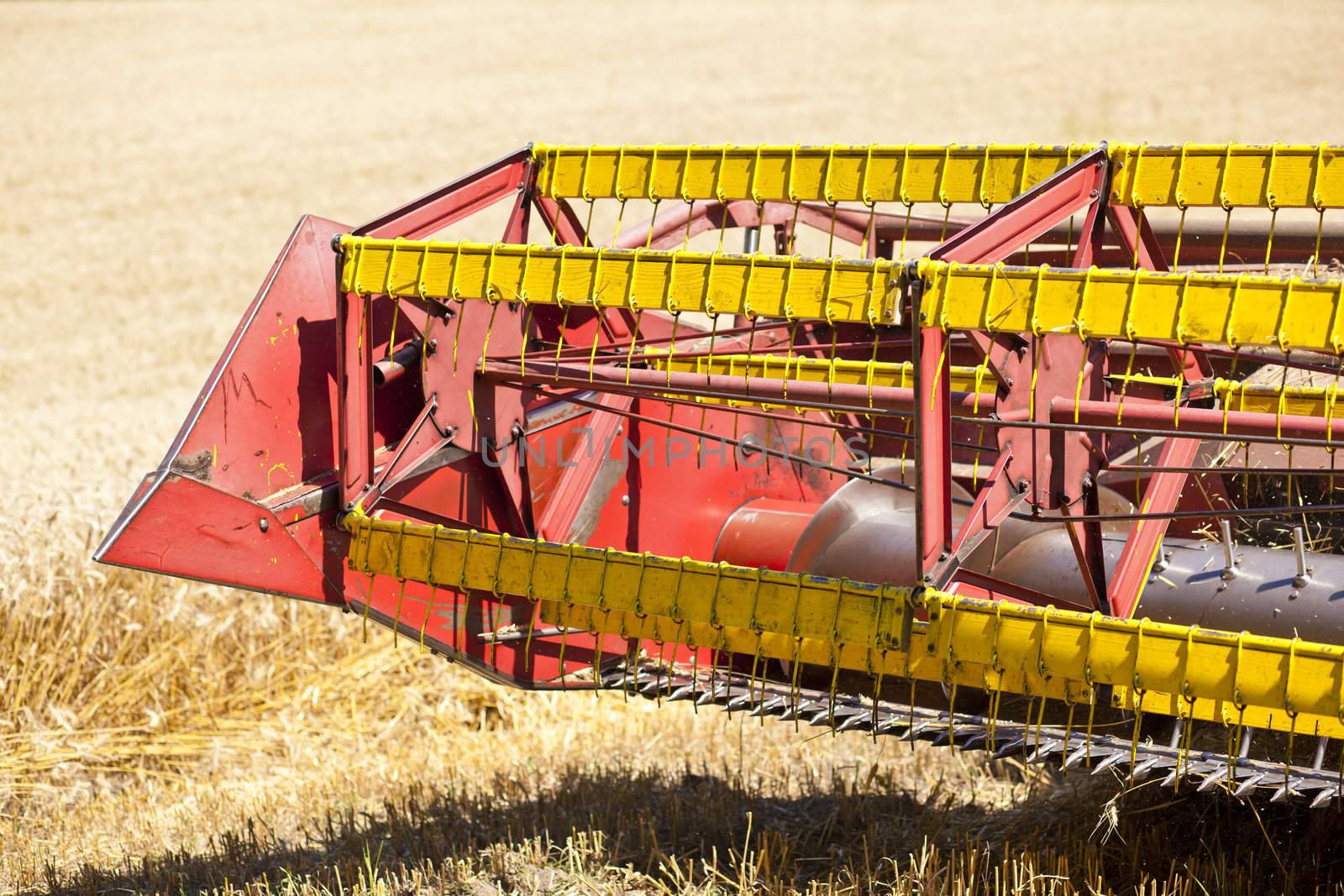 Combine Harvester in wheat corn field