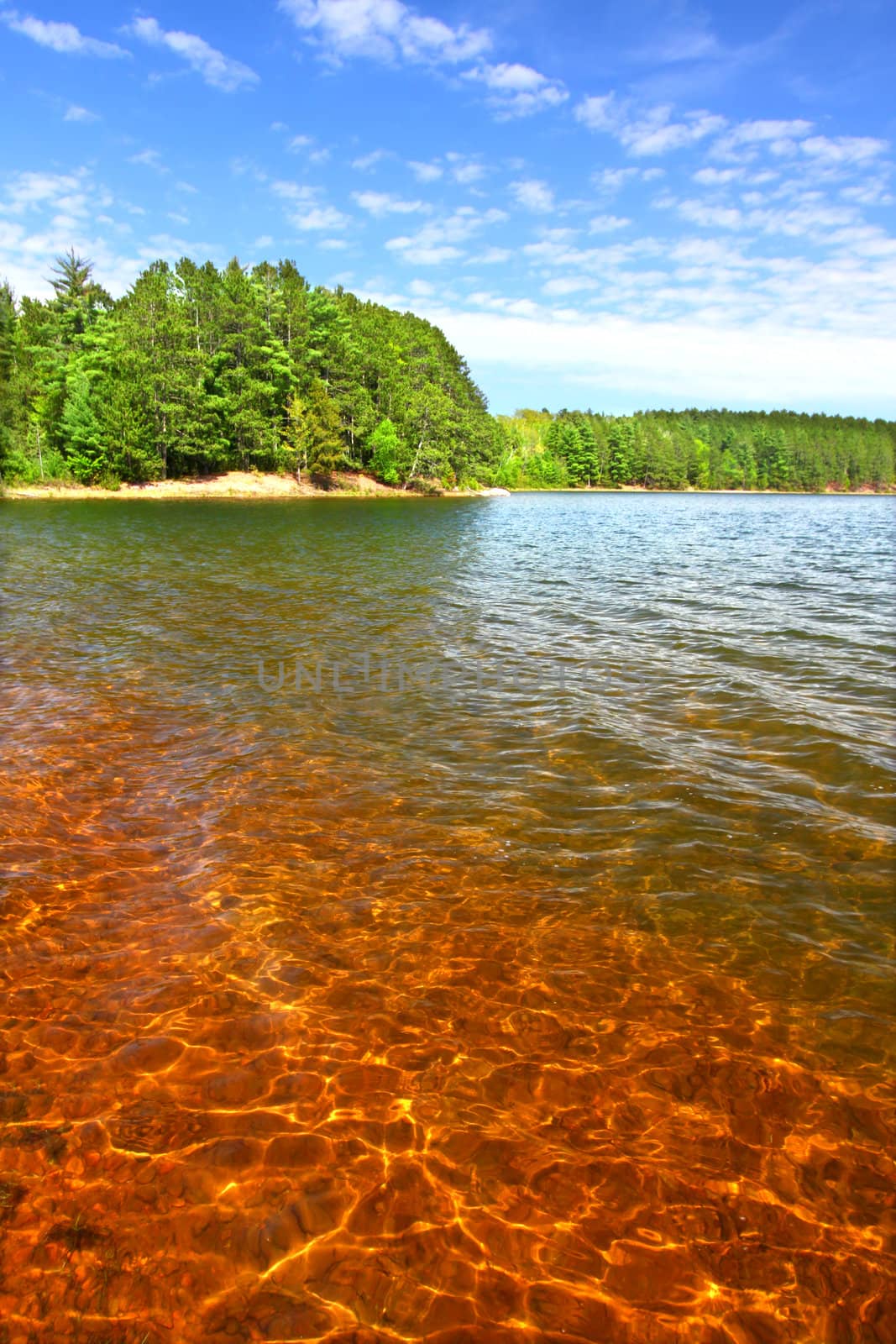 Clear Waters of Northwoods Wisconsin by Wirepec