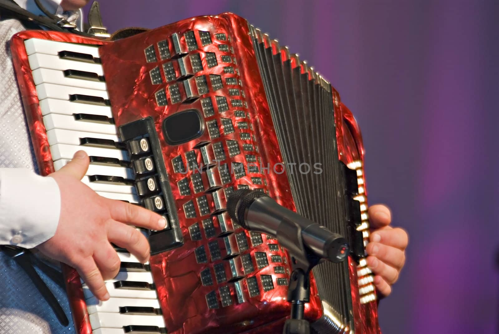 The musician playing the accordion close up