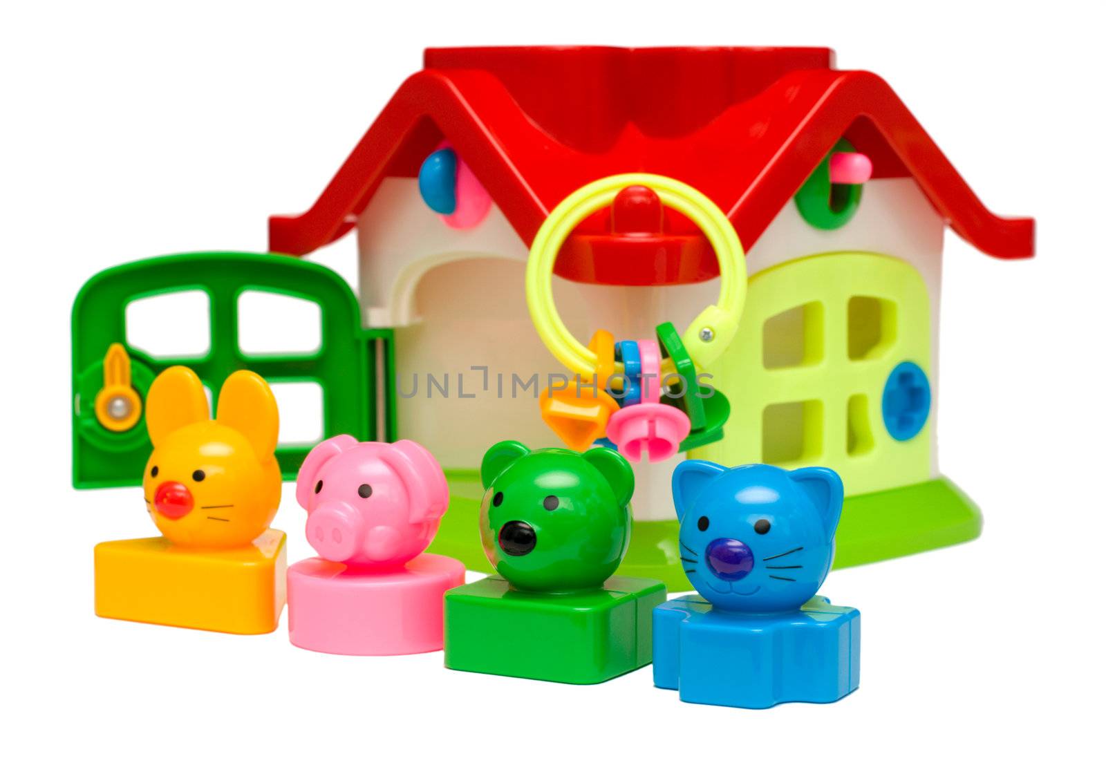 Color animal toys standing in row