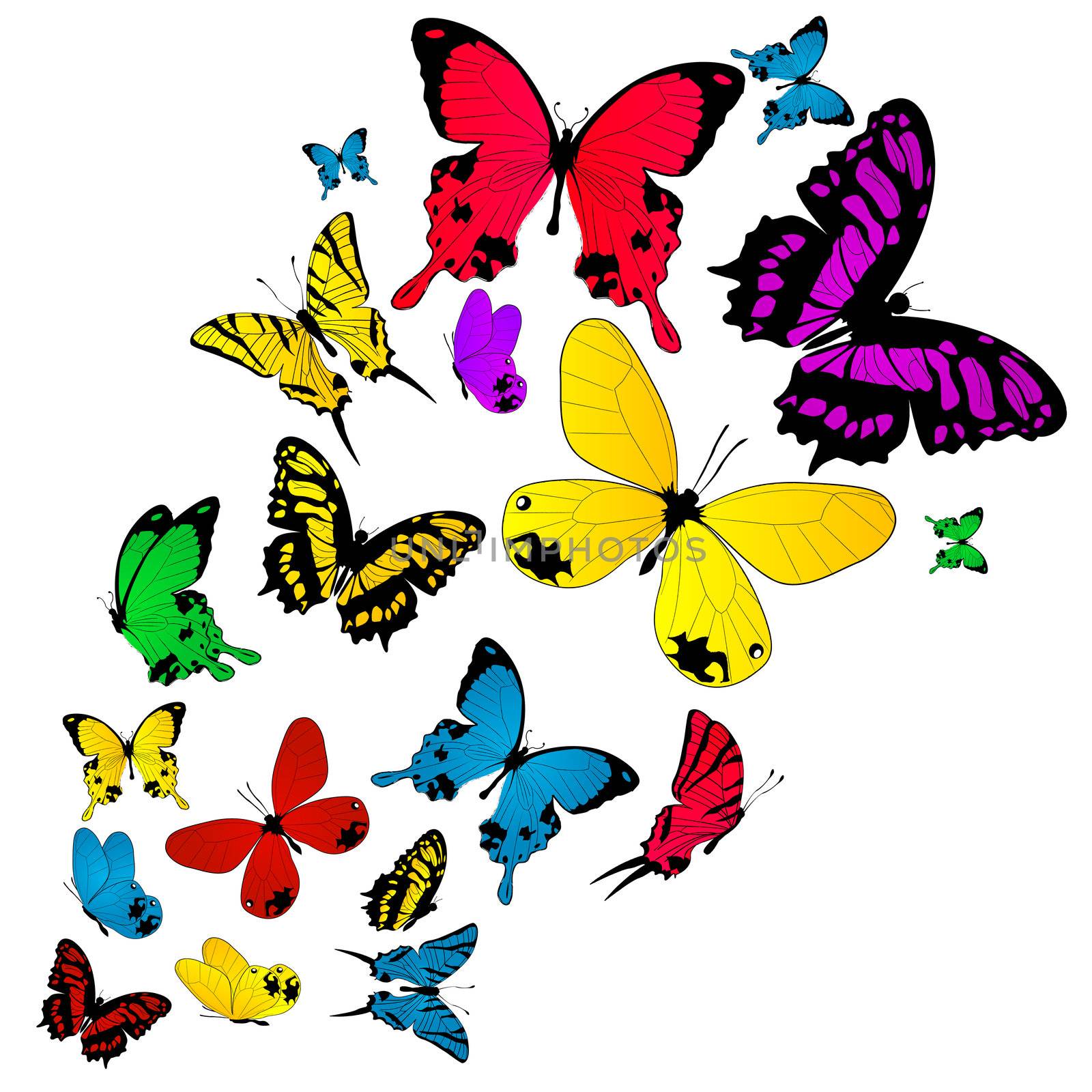 Colored butterflies sketch on white