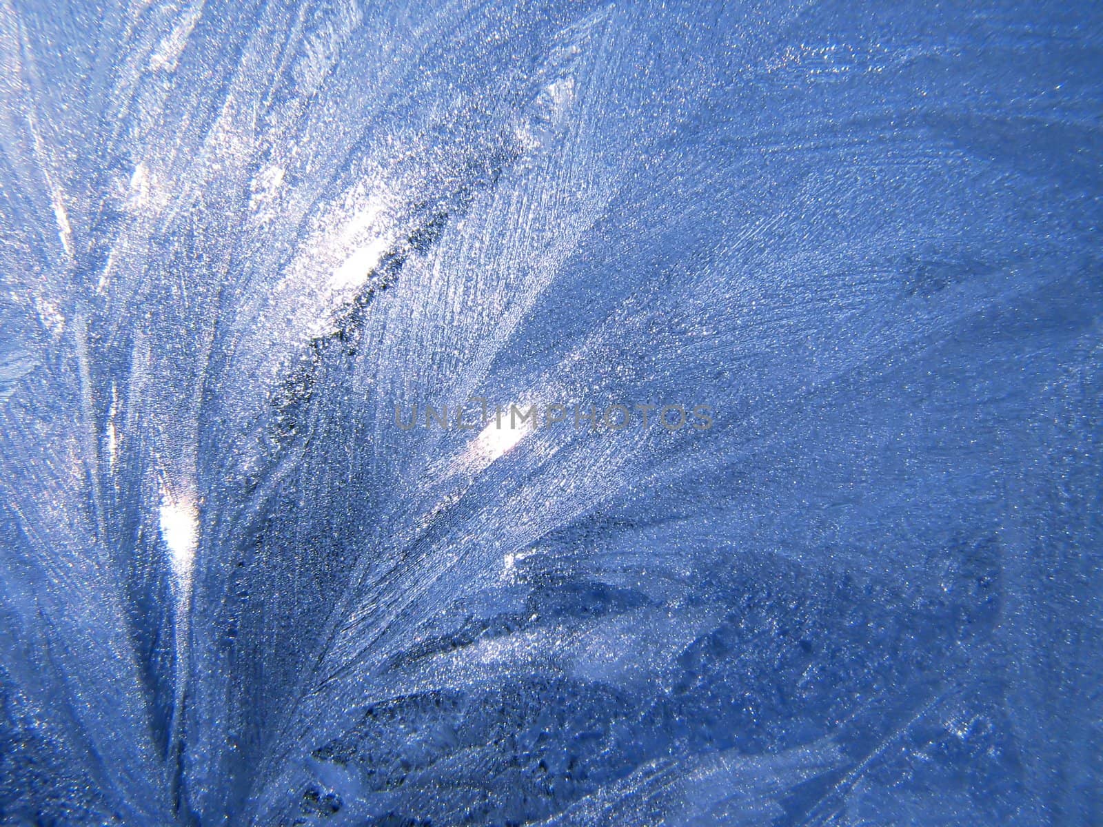 An ornament of frost on a window