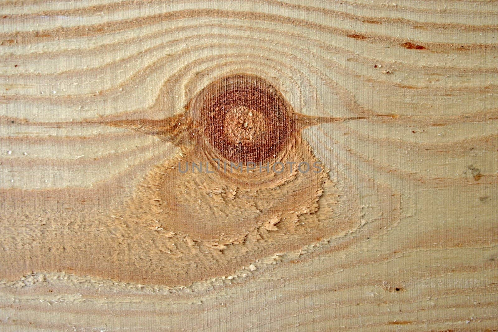 The closeup of a wooden plank
