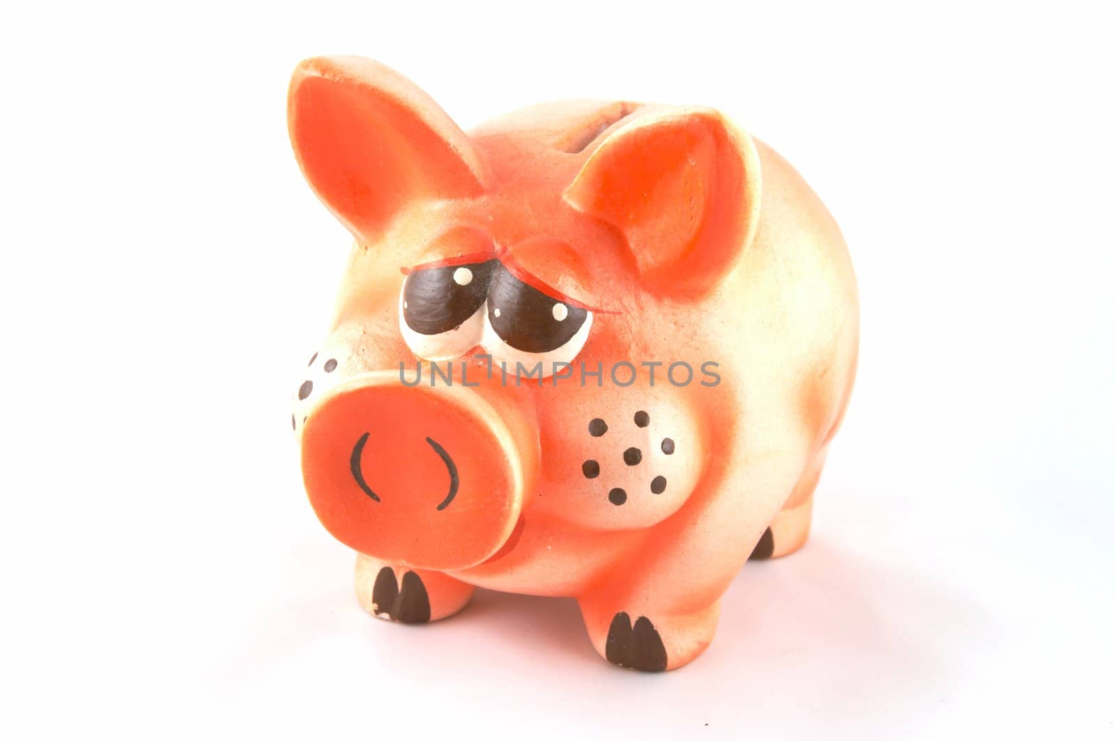  pig - a coin box in white background