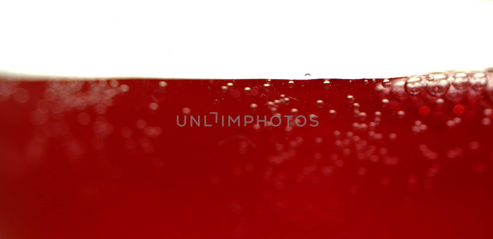 macro shot of campari drink