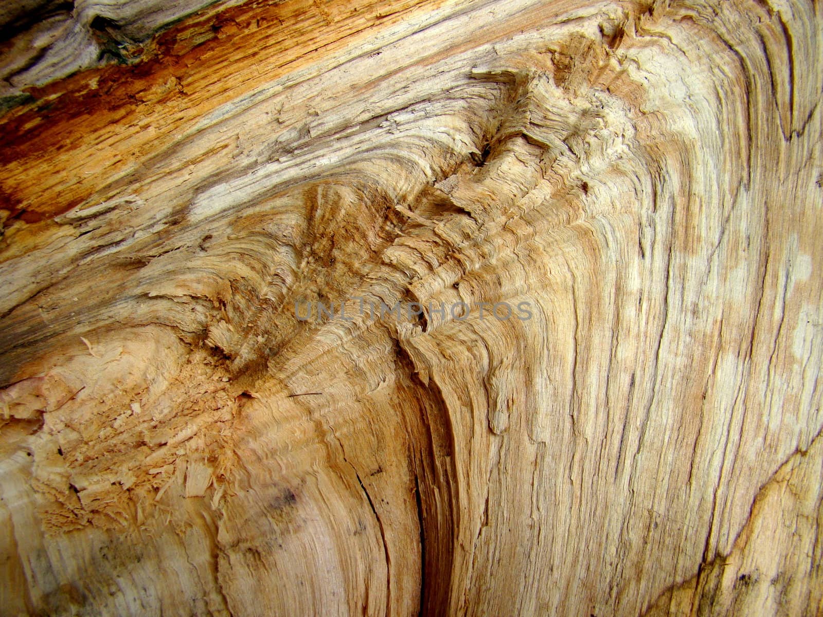 wood by elvira334