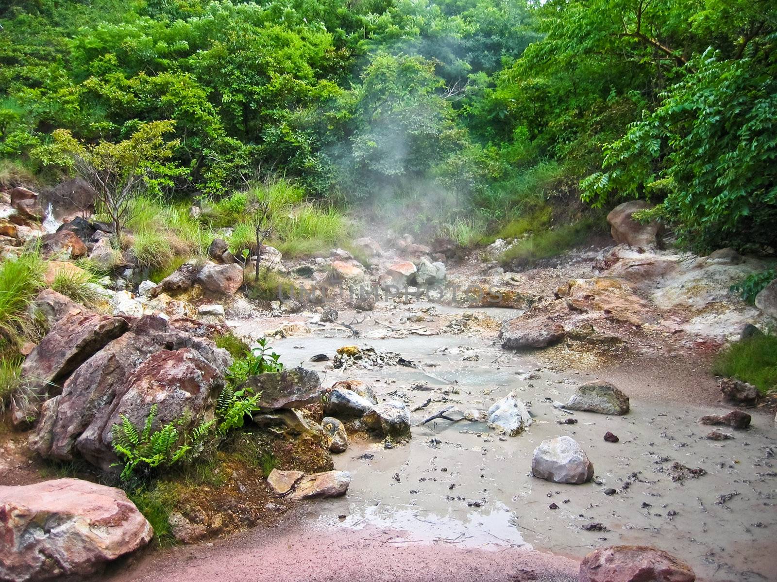 volcanic mud pool with bubbles in a green environment 
