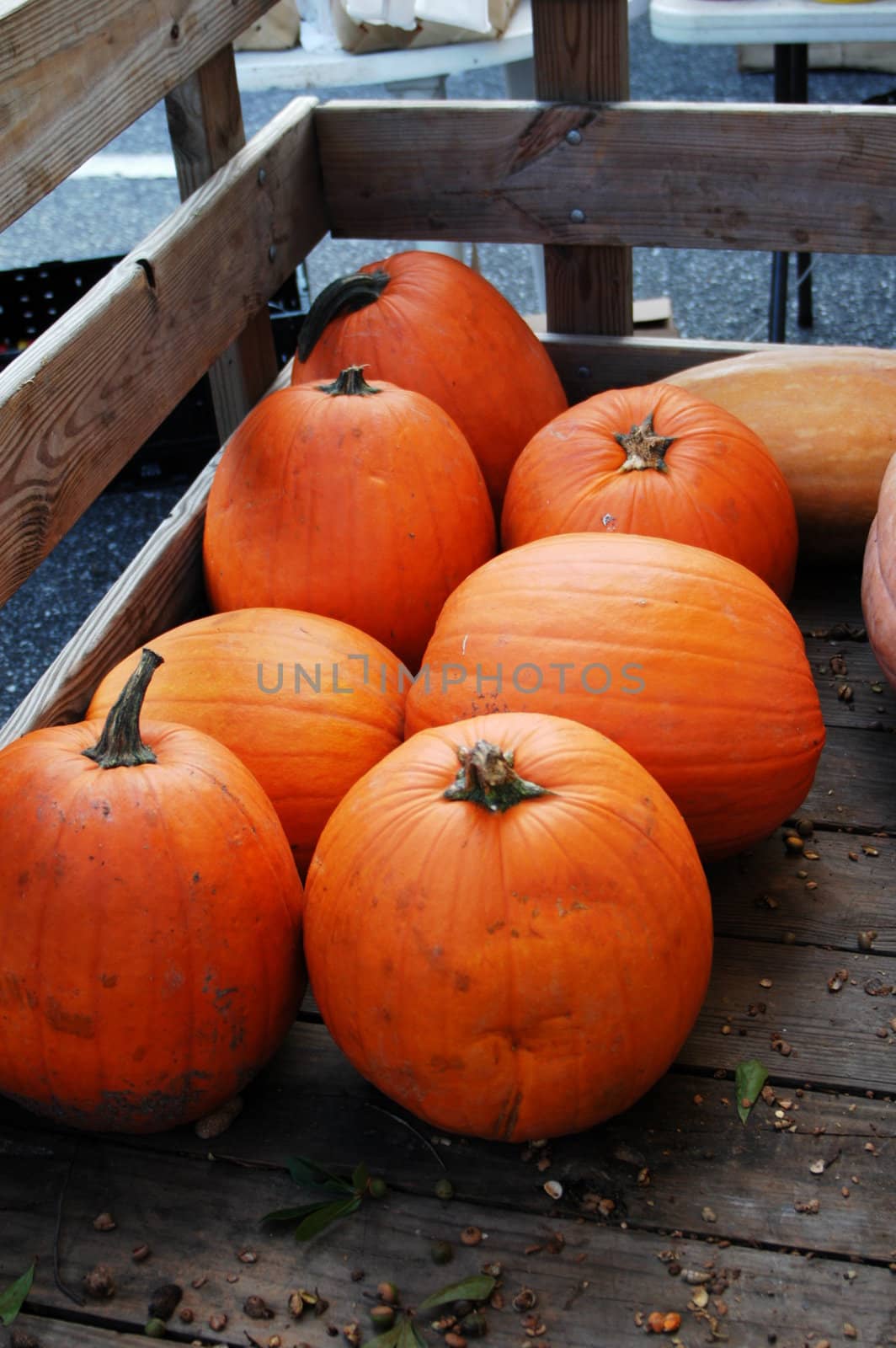 Pumpkins for sale at the market by northwoodsphoto