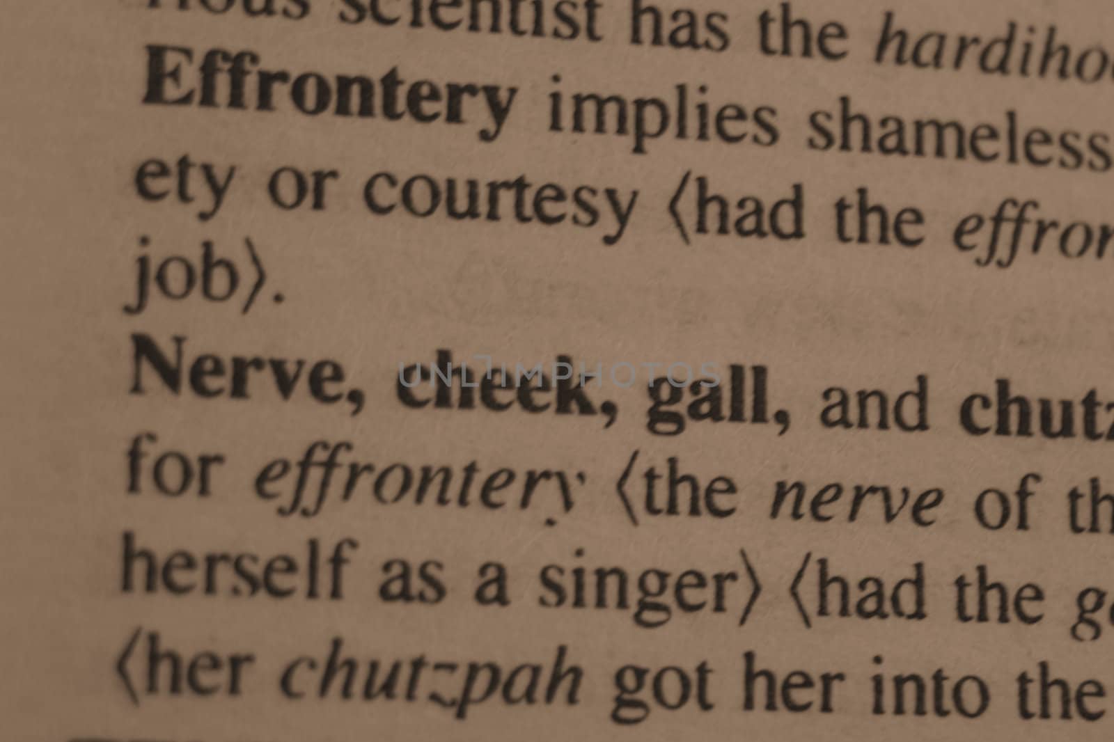 Nerve as seen in a dictionary