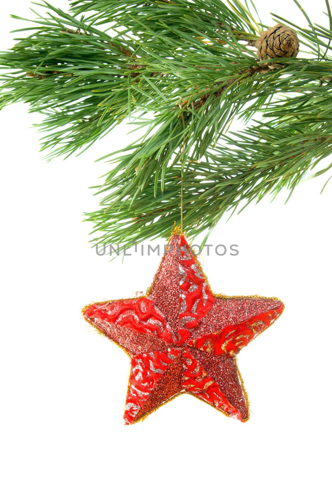 Red star hanging from a branch.white background