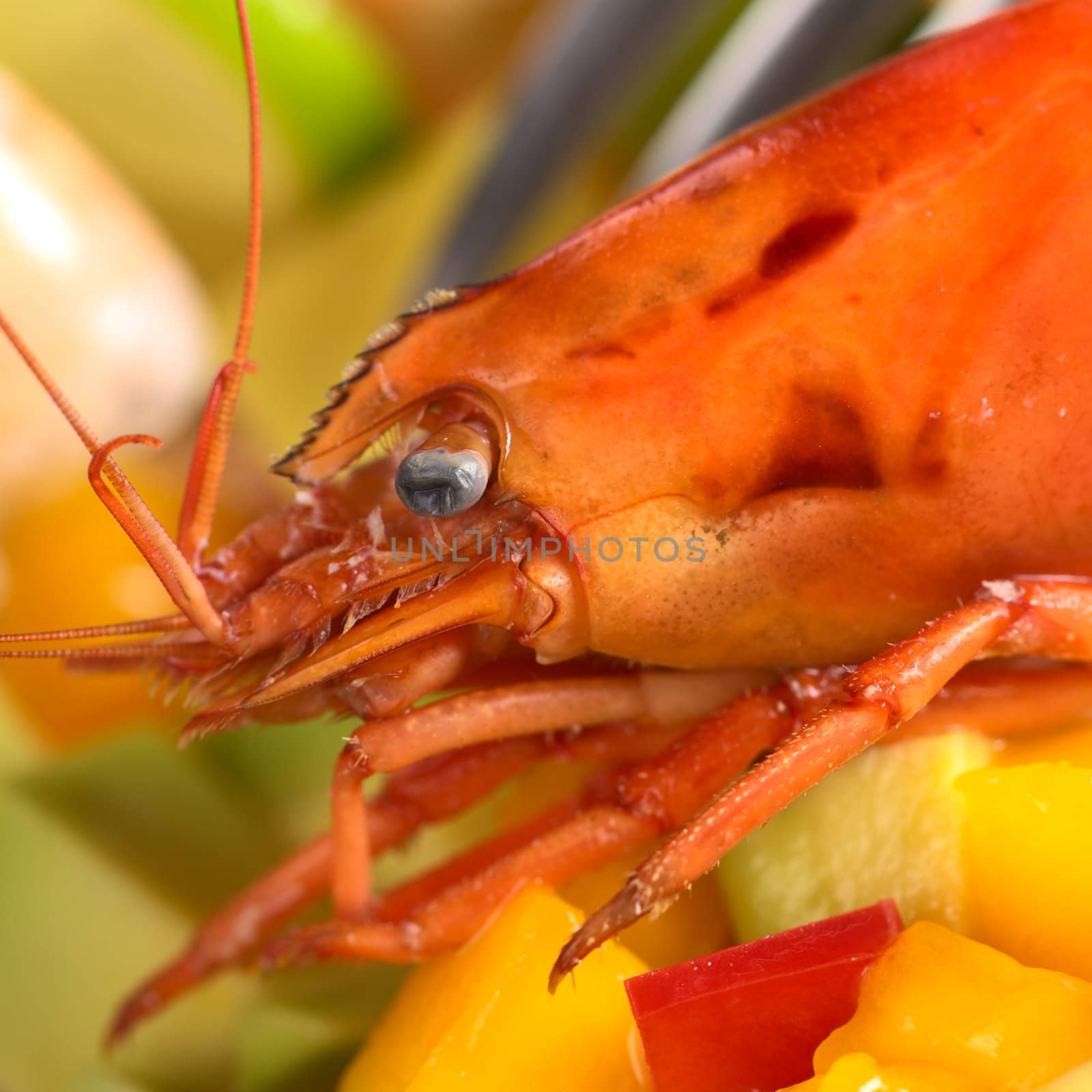 Closeup of the head of a fresh cooked shrimp on a mix of avocado, mango and red bell pepper with a fork in the back (Selective Focus, Focus on the eye)