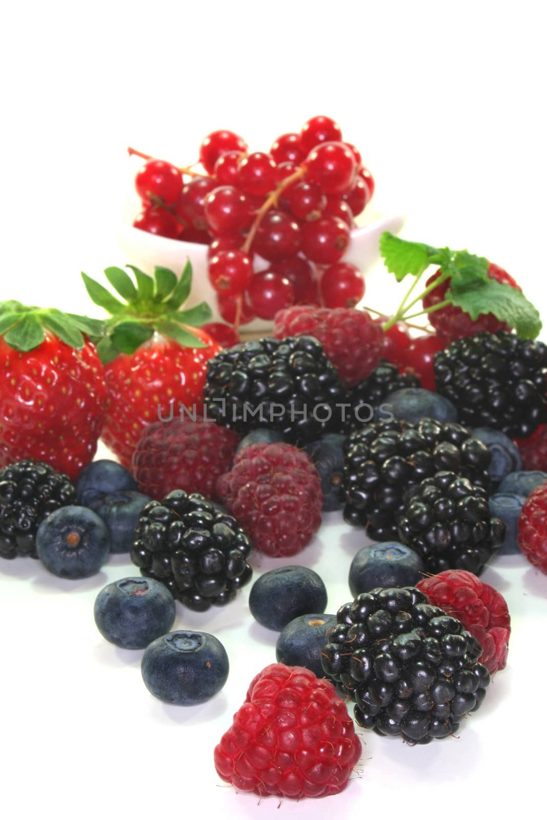 different berries on a white background