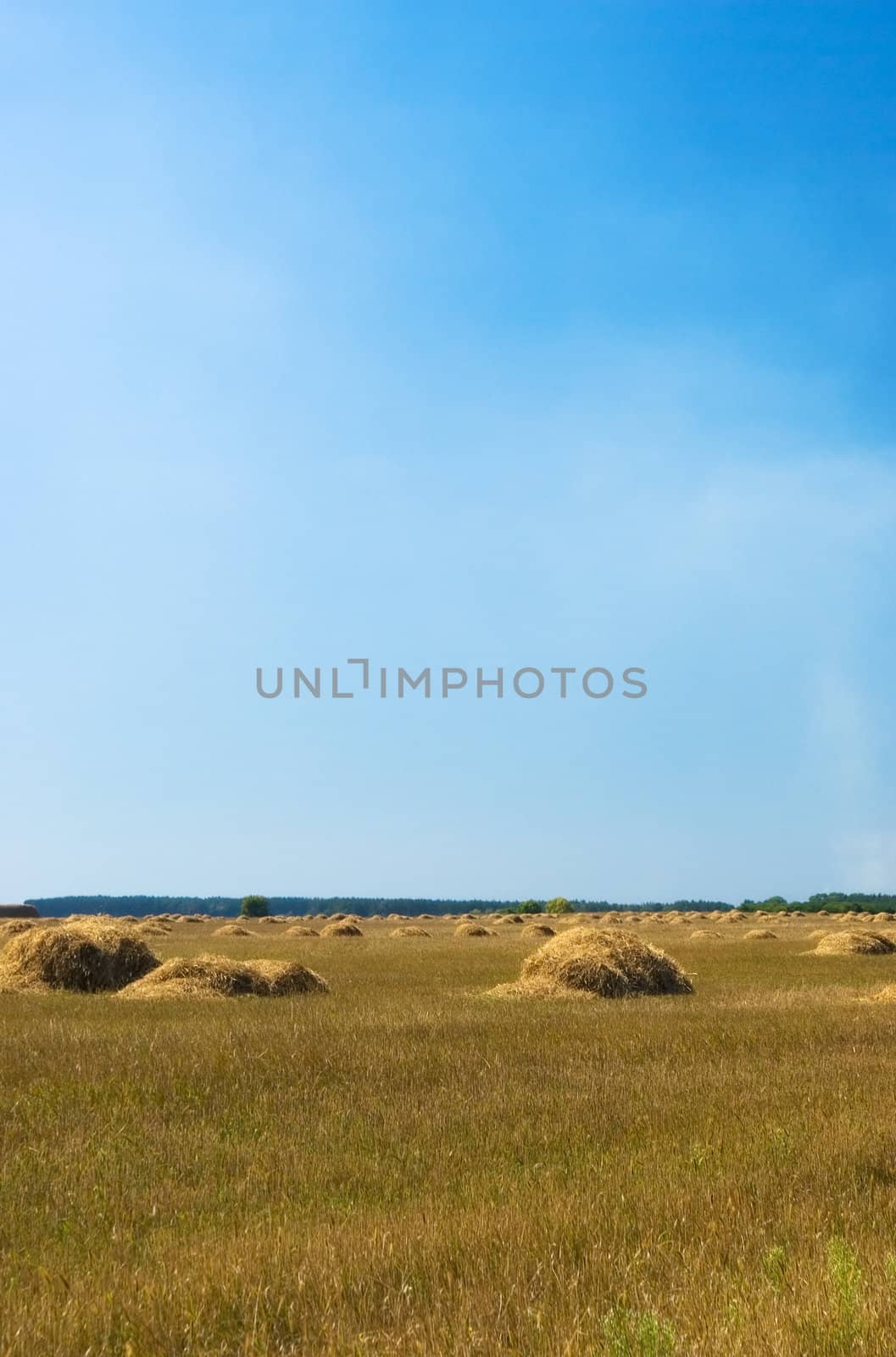 Straw bales on field under blue sky