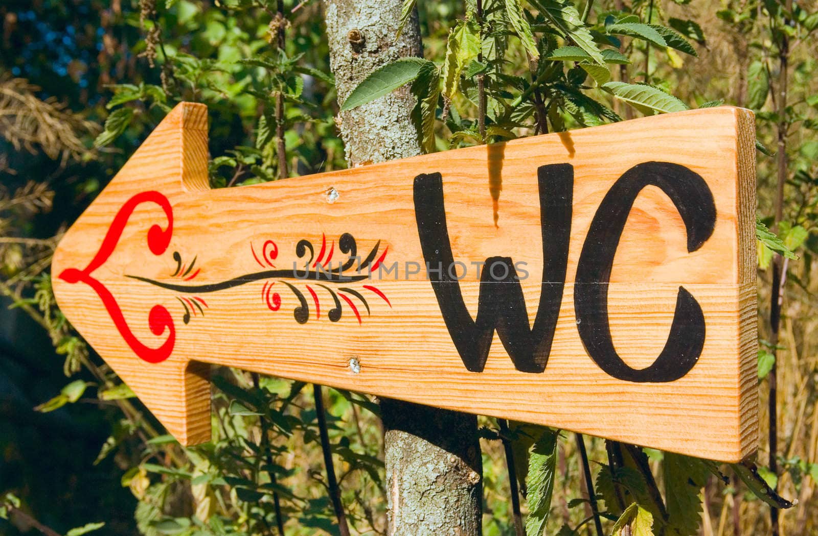 lonely wooden pointer in the woods