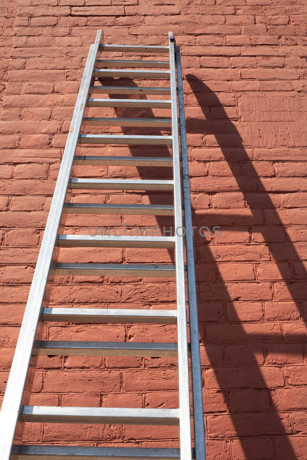 Ladder Against Wall by kvkirillov