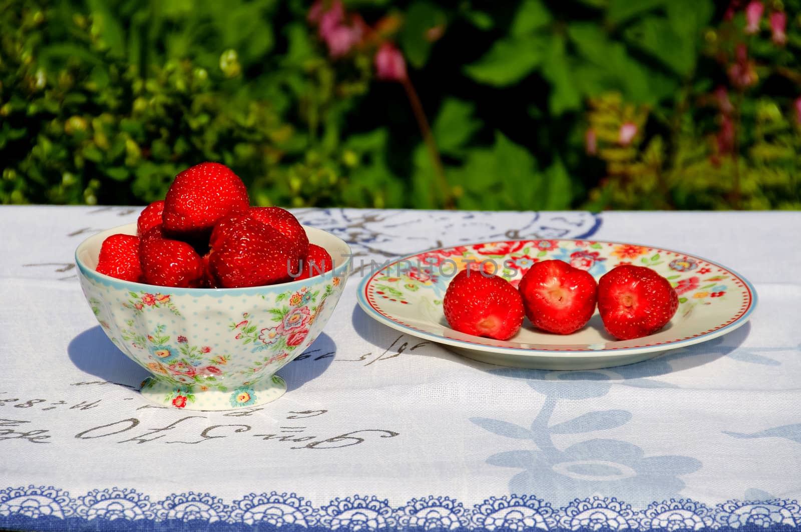 Serving strawberries in the garden