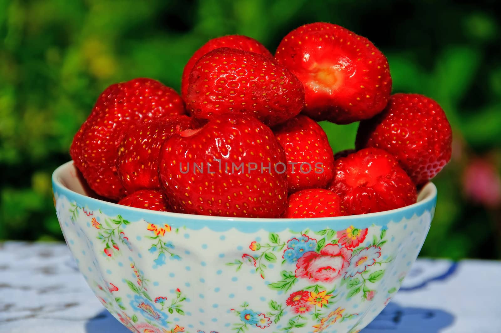 Strawberries in a bowl in a garden