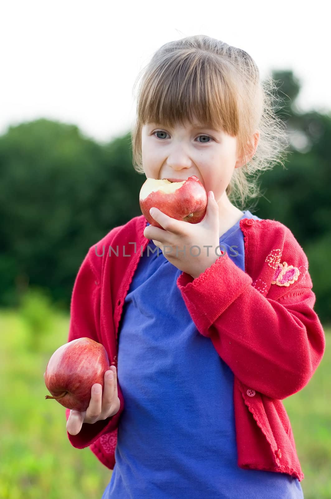 little girl eating apples in a meadow. healthy nutrition concept.