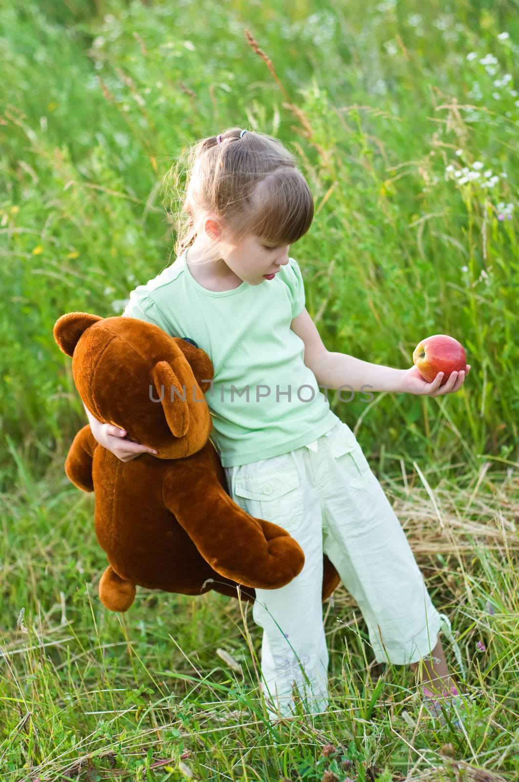 girl with apple and teddy bear in a summer meadow.