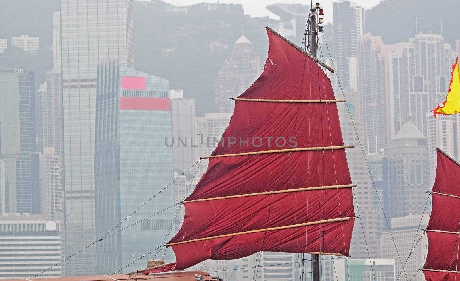 sailboat in Hong Kong harbor 