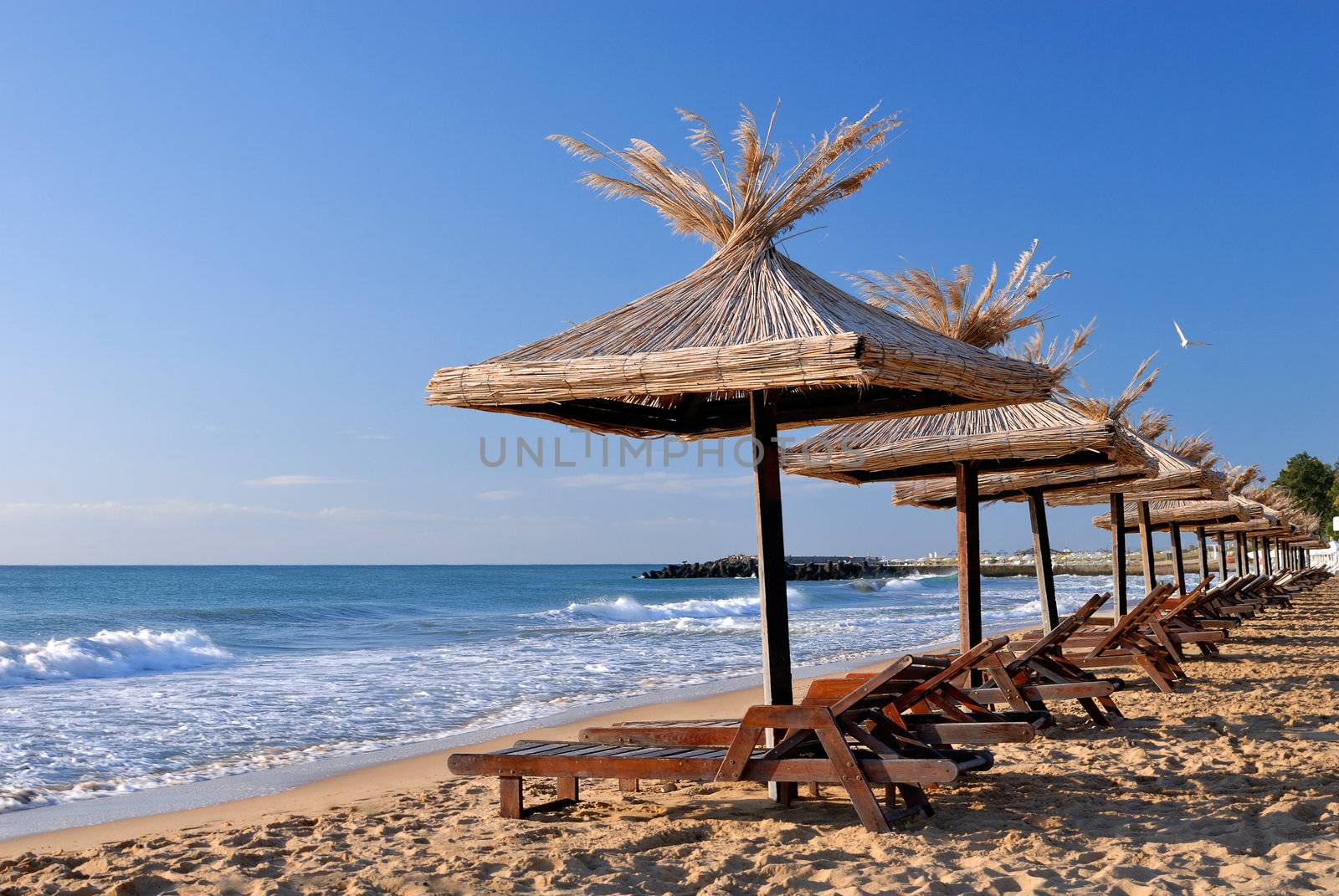 empty sunchairs and umbrellas on the sunny beach