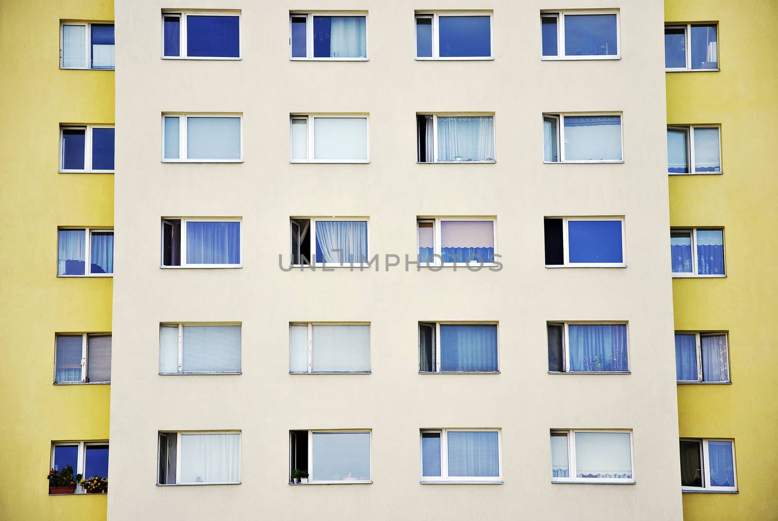 many different windows