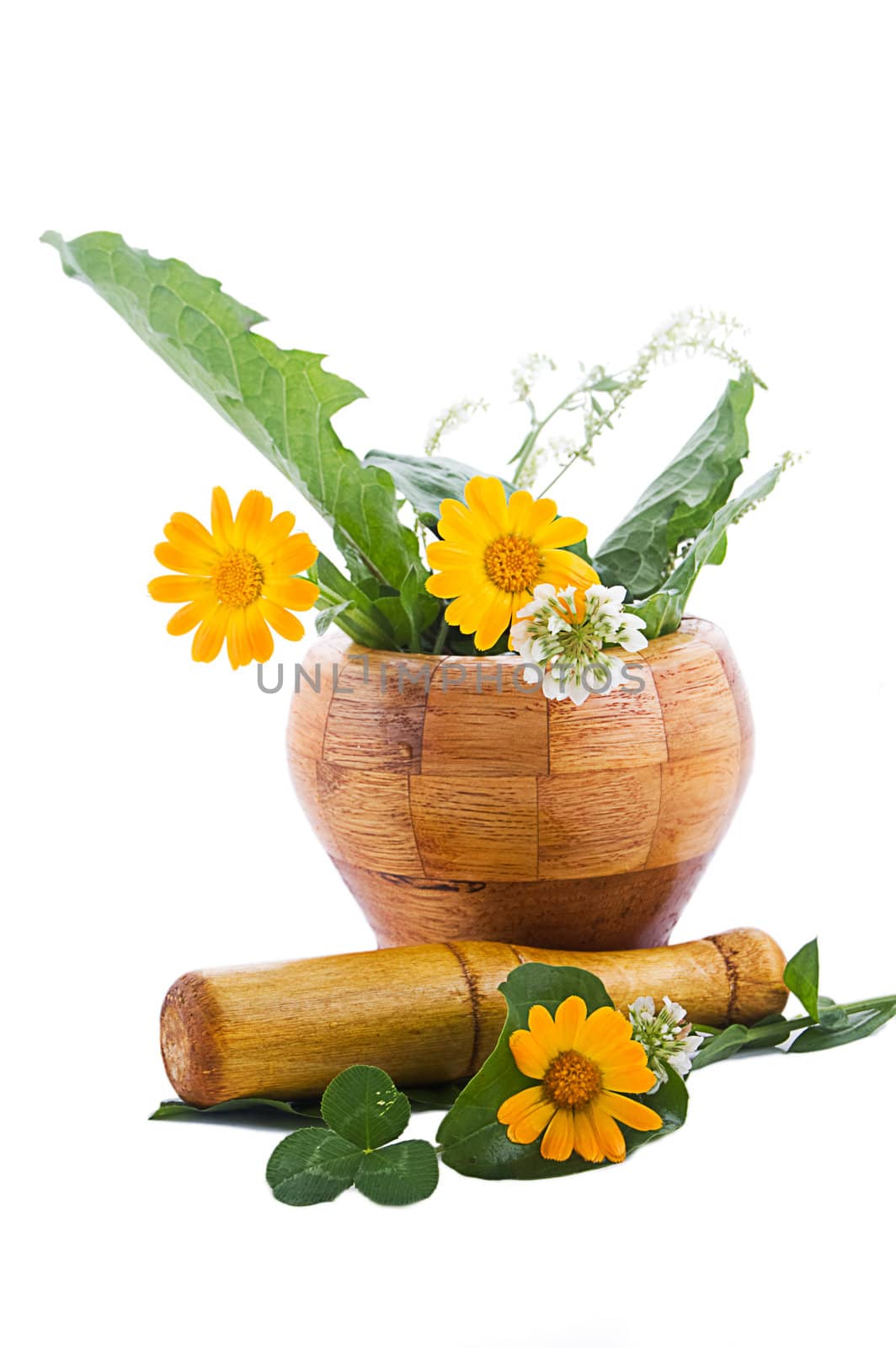 Mortar with herbs and marigolds isolated on white