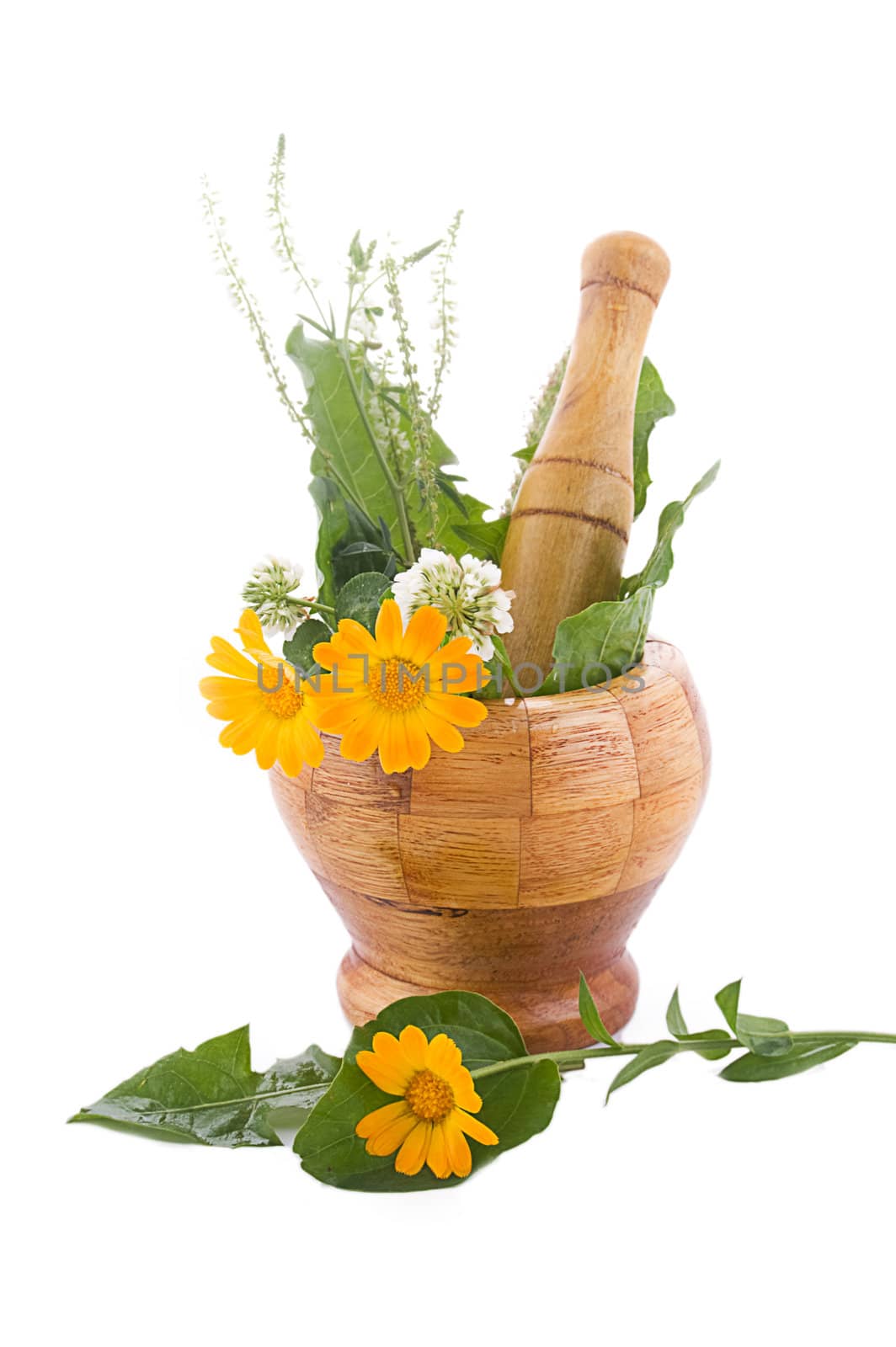 Mortar with herbs and marigolds isolated on white