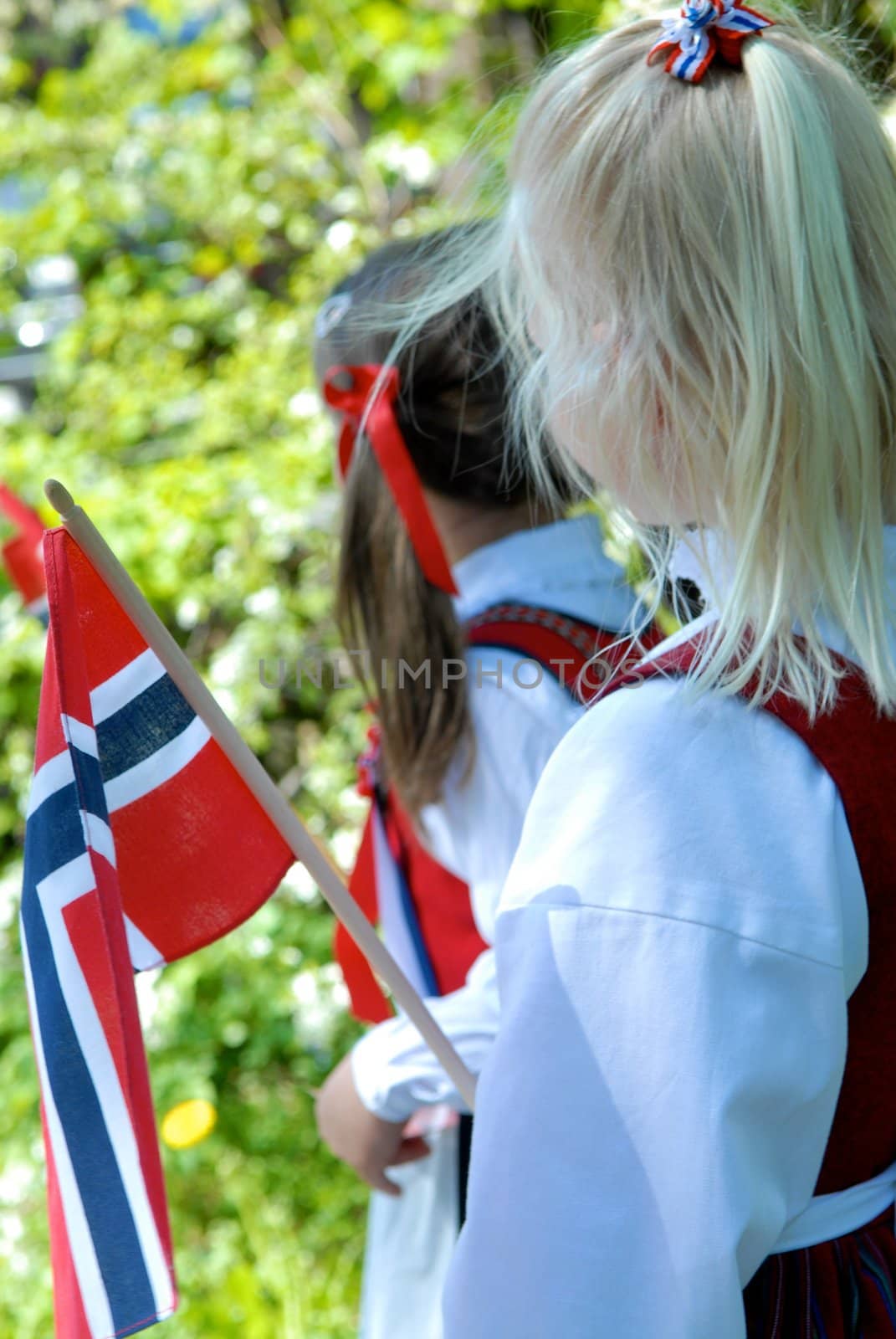 Constitution Day of Norway. Please note: No negative use allowed.