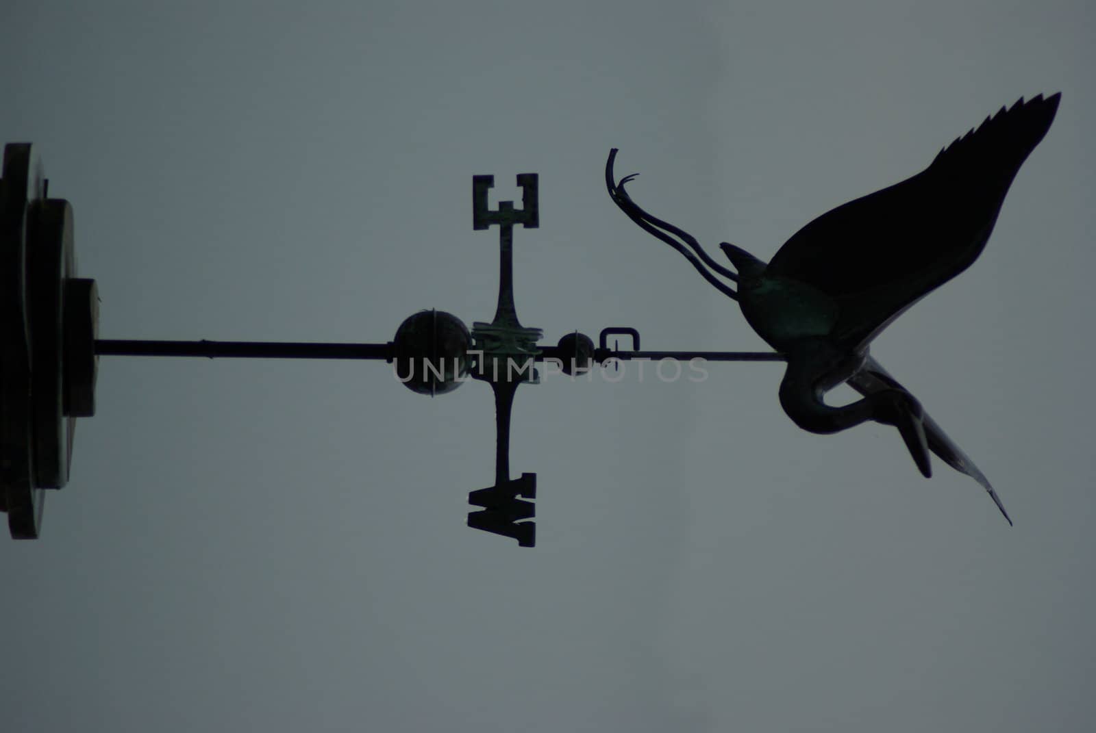 Wind vane by pelt69