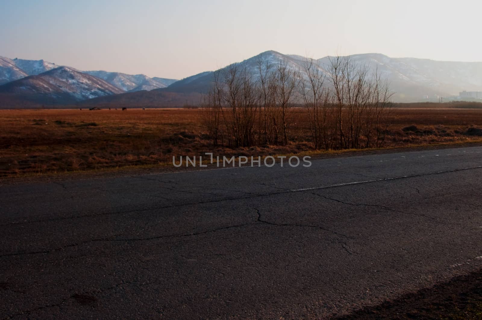 lonely evening country road landscape in Russia