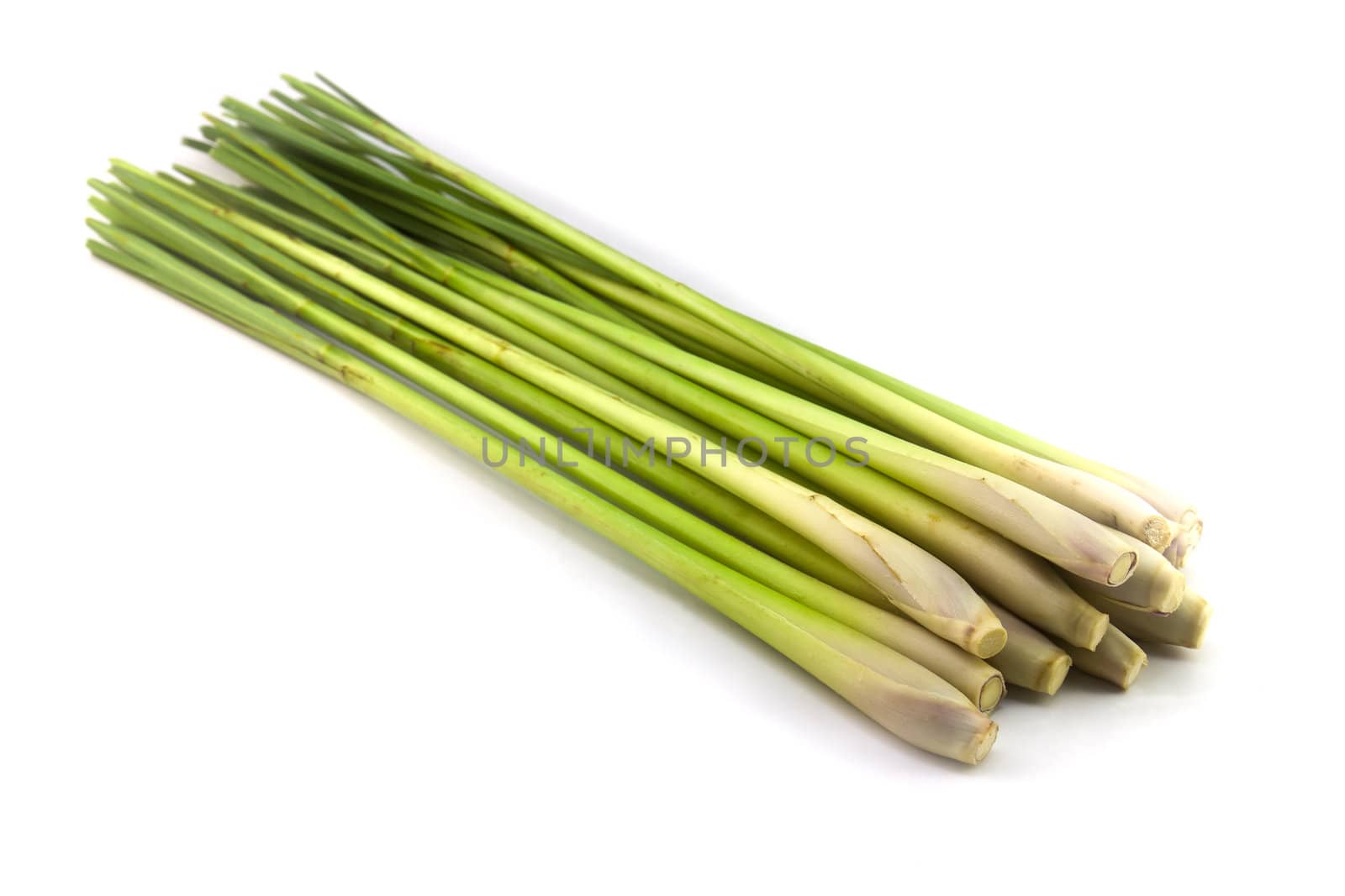 Fresh Lemon Grass on white background