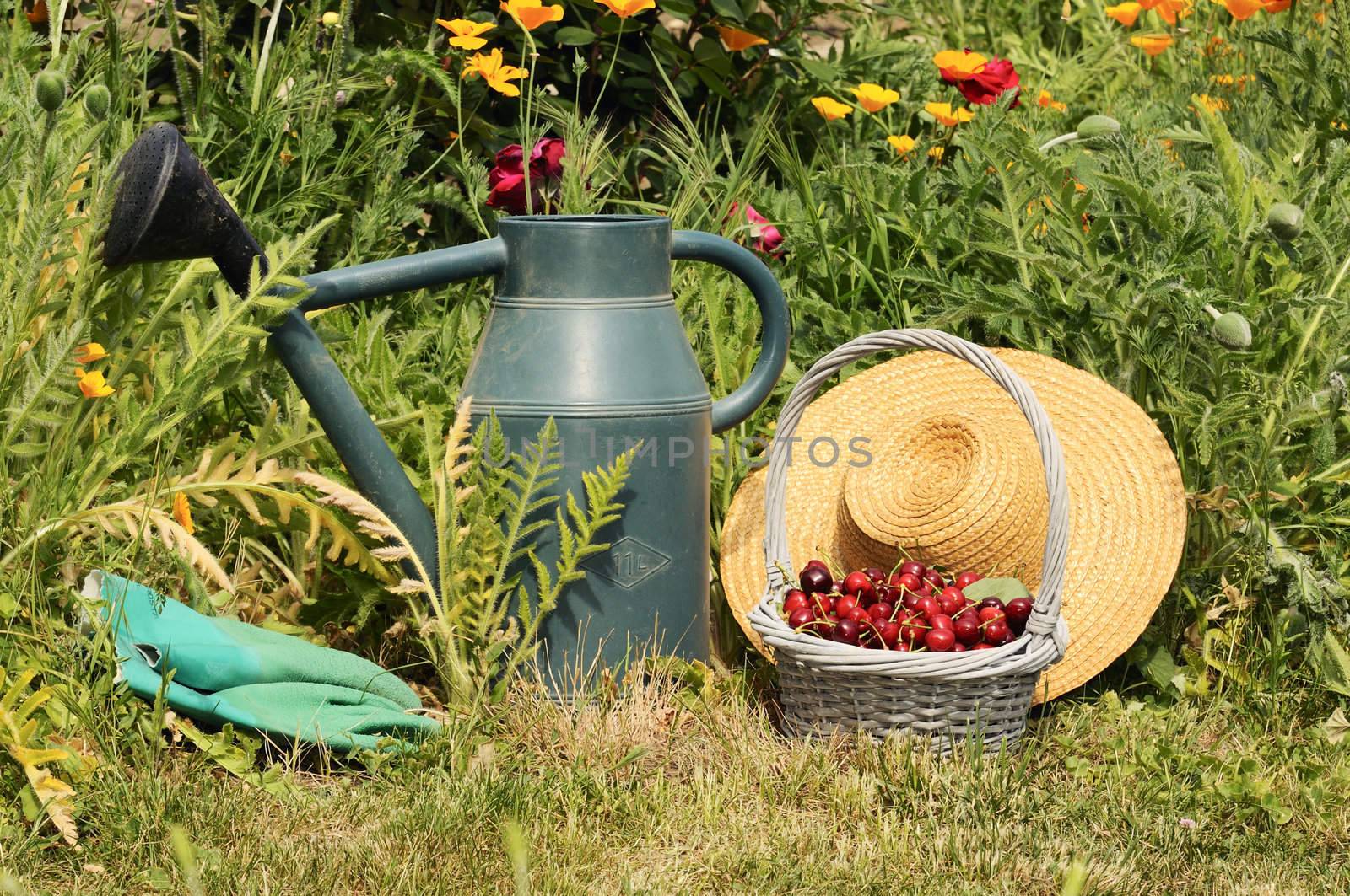 basket of cherries and straw hat in a flower garden