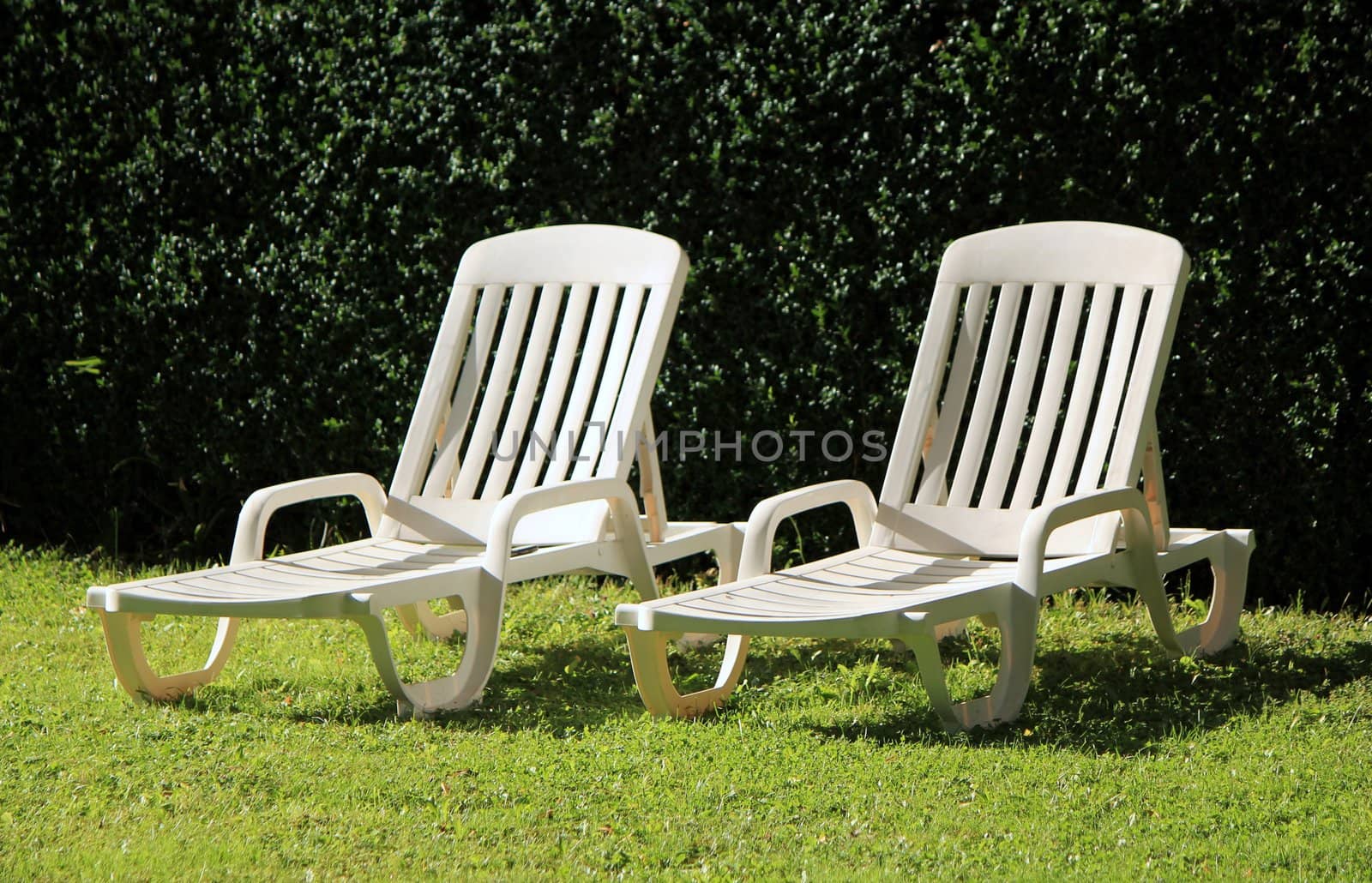 Two white lawn chairs in a green garden by summer