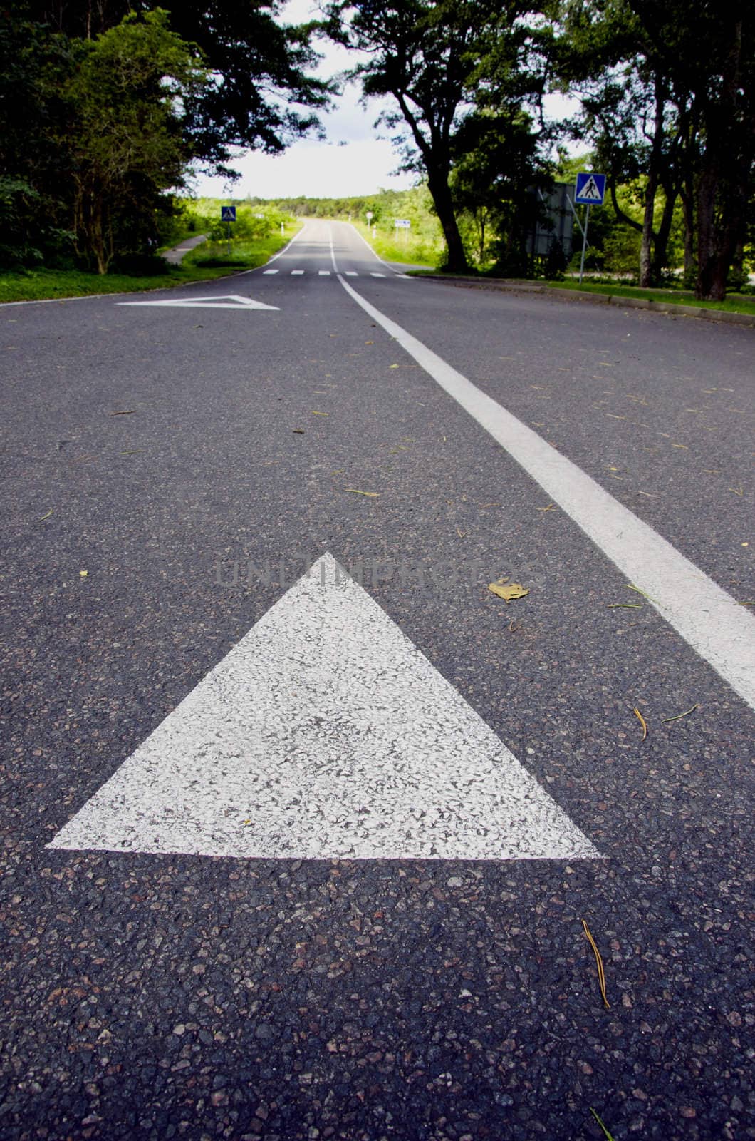 asphalt road in the resort and white line