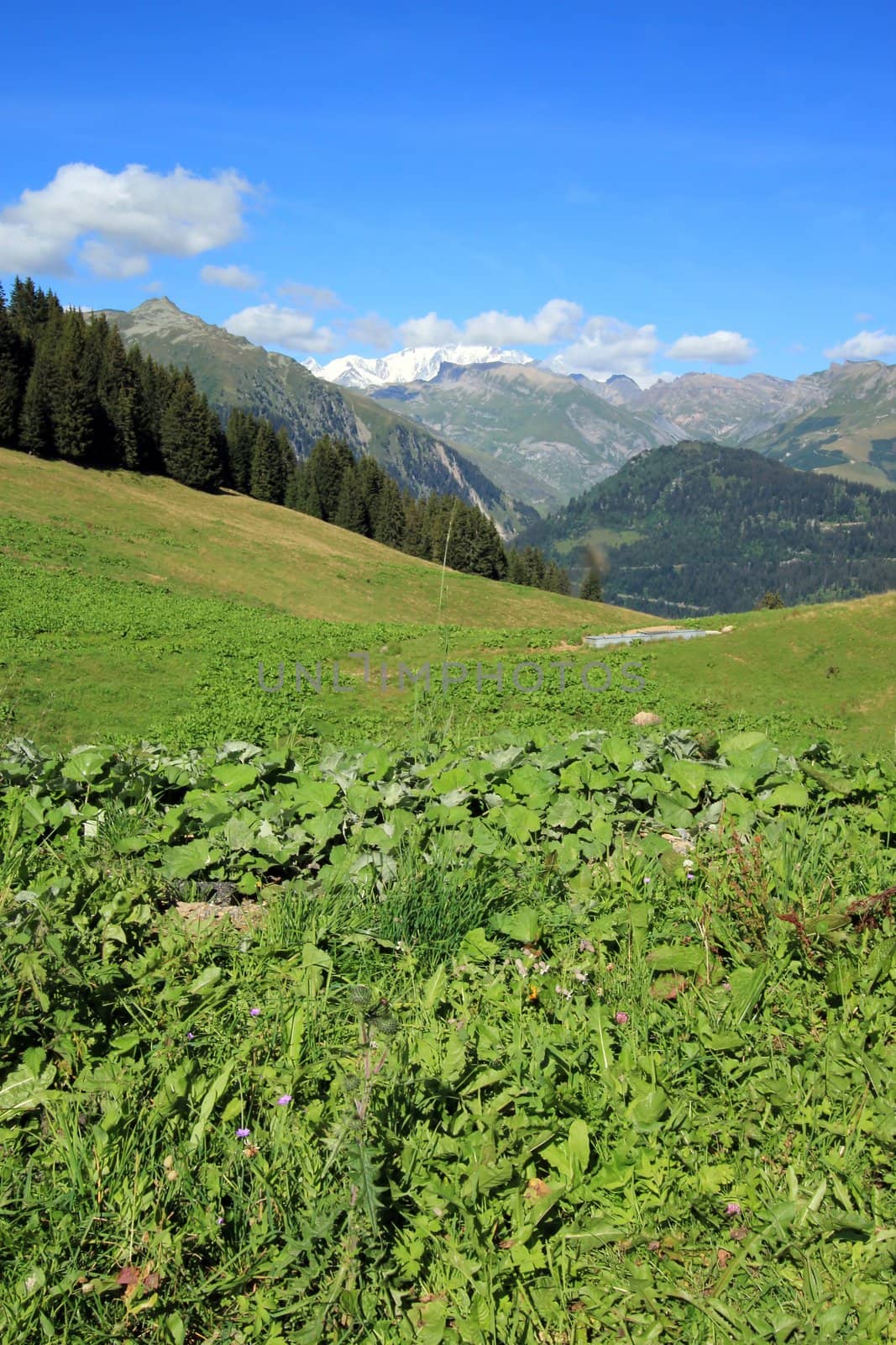 Landscape of Alps mountain from Pre pass by summer, France