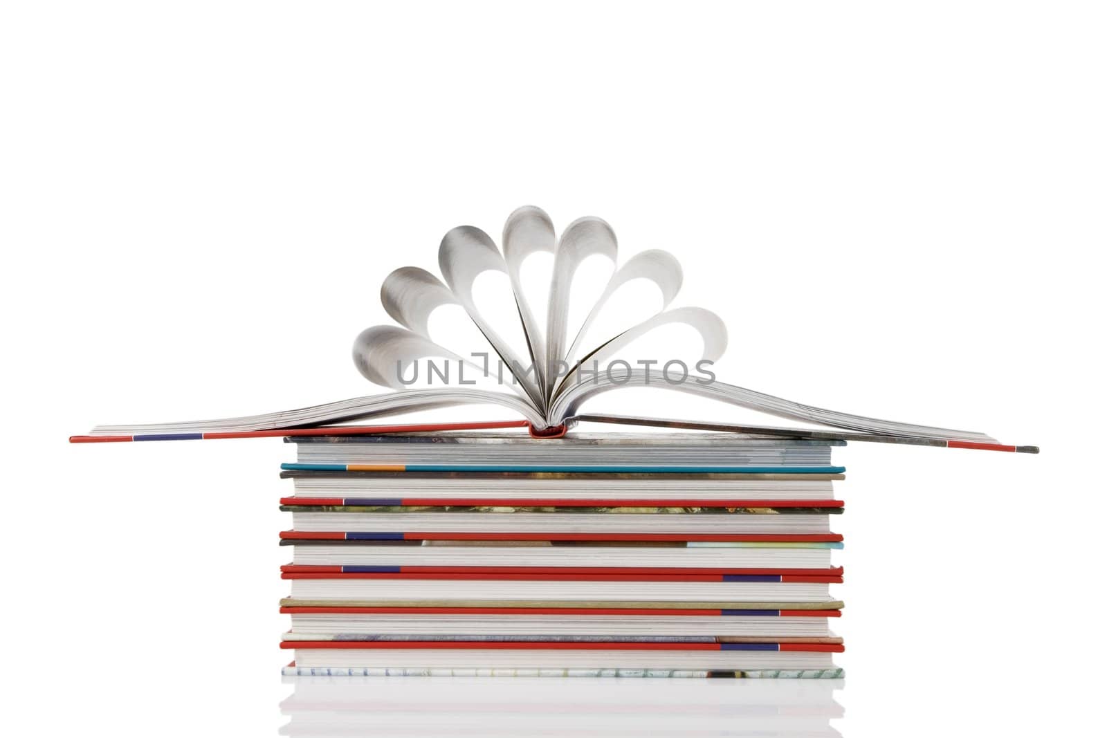 book pages folded into a flower shape on white background