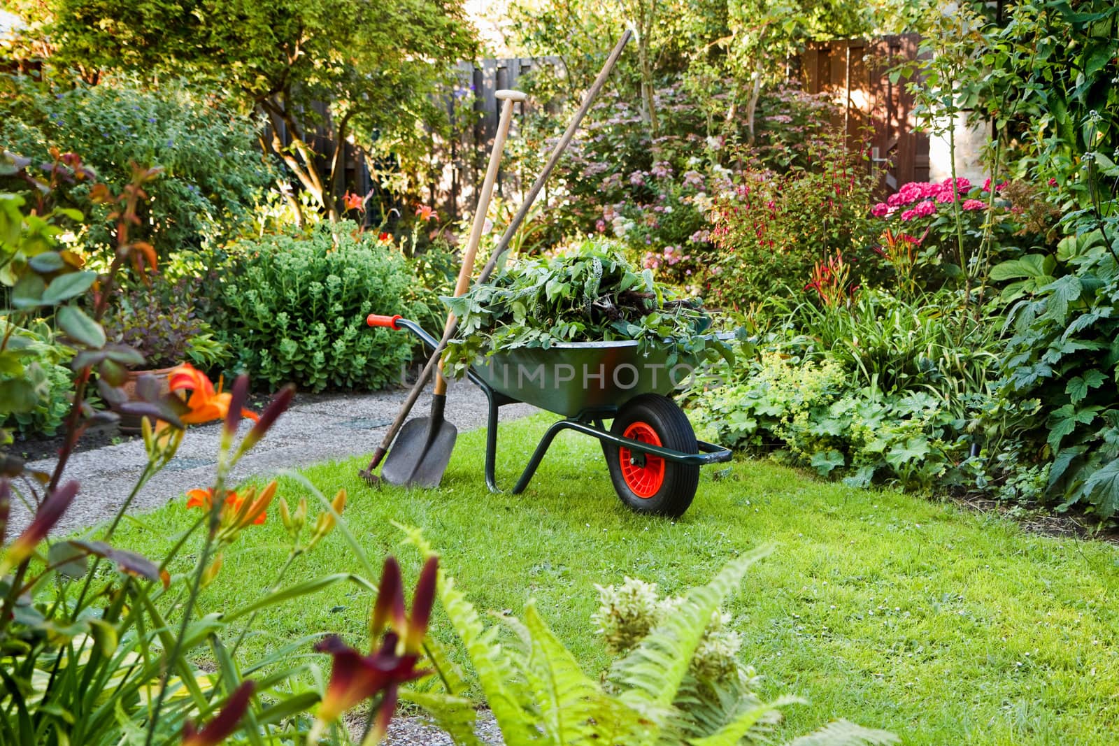 Evening after work in summer garden with wheelbarrow, shovel and rake - horizontal