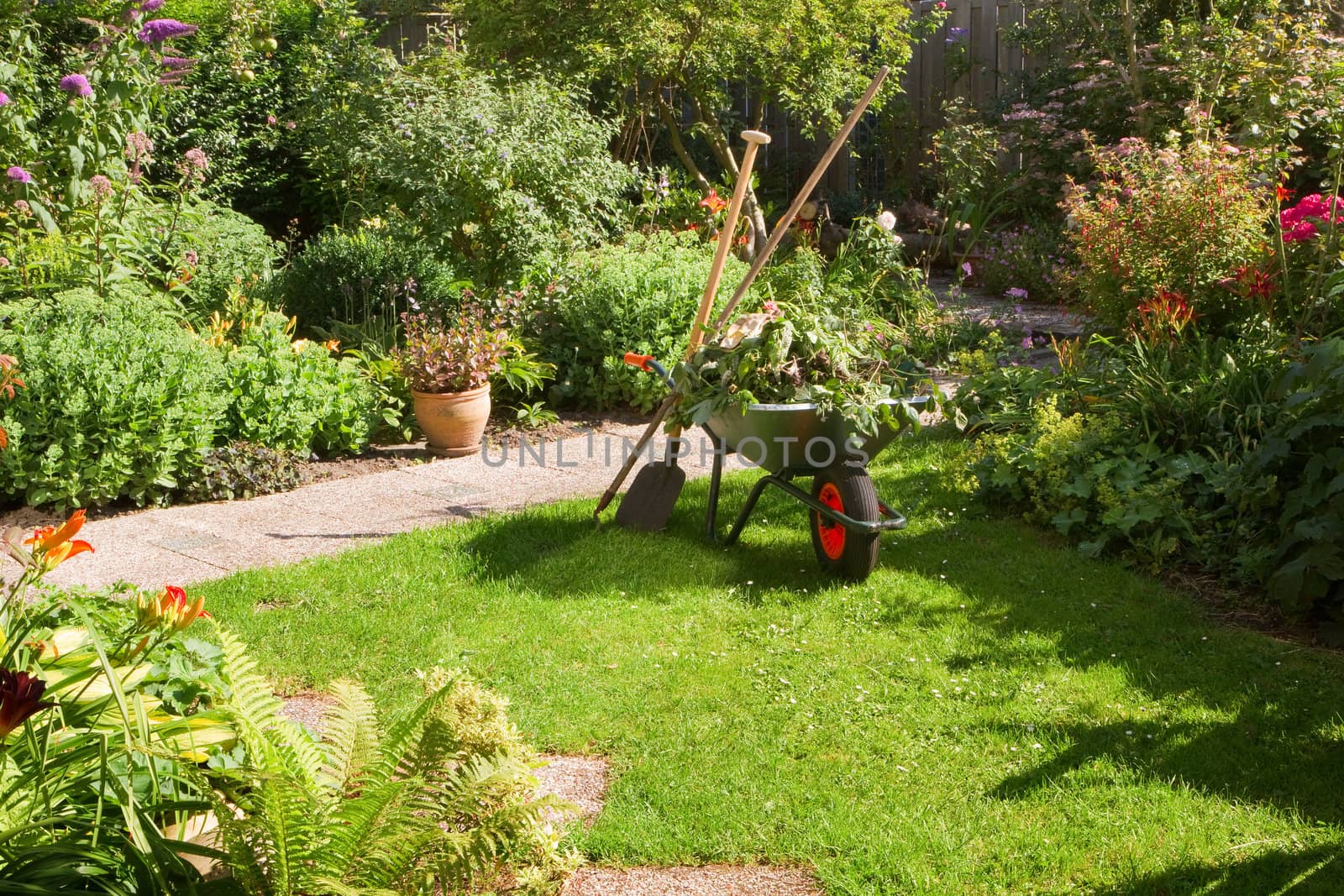 Work in summer garden in the morning with wheelbarrow, shovel and rake - horizontal