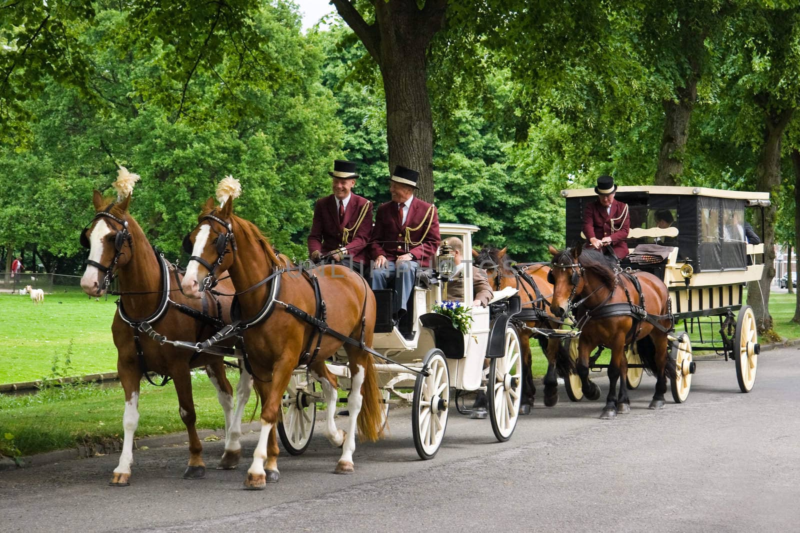 VLAARDINGEN, THE NETHERLANDS-May 2009-Coaches and horses with bride, bridegroom and family on their way to the town hall 