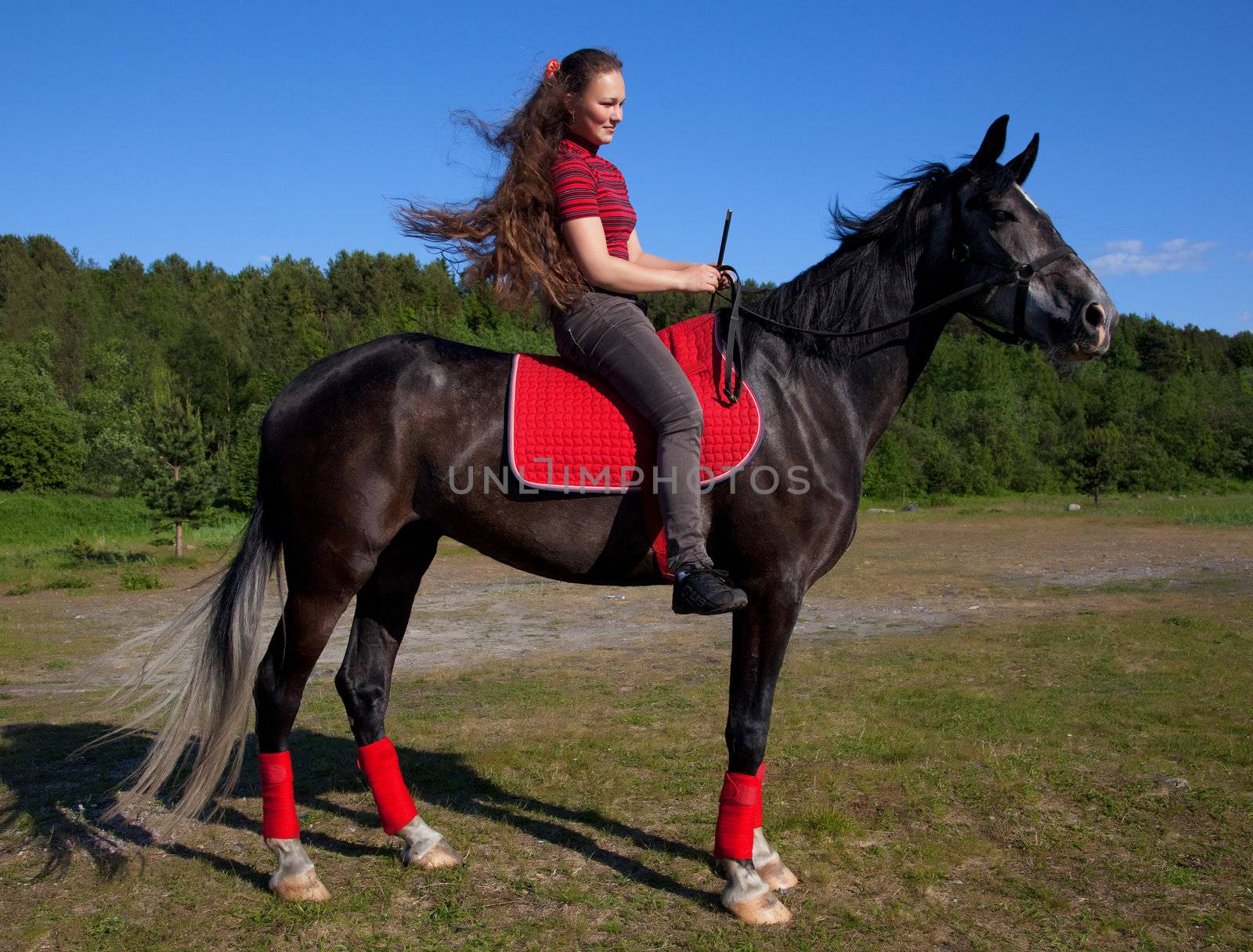 Beautiful girl with brown hair on a black horse against a blue sky and the forest