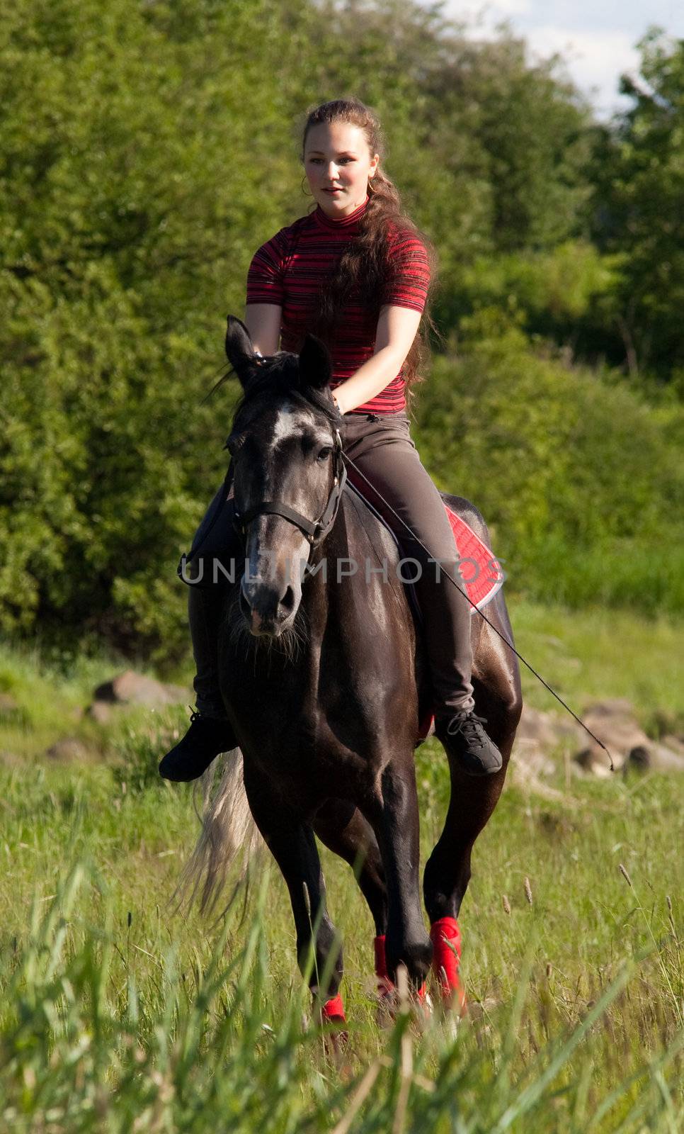 Girl astride a horse galloping on a background of green wood