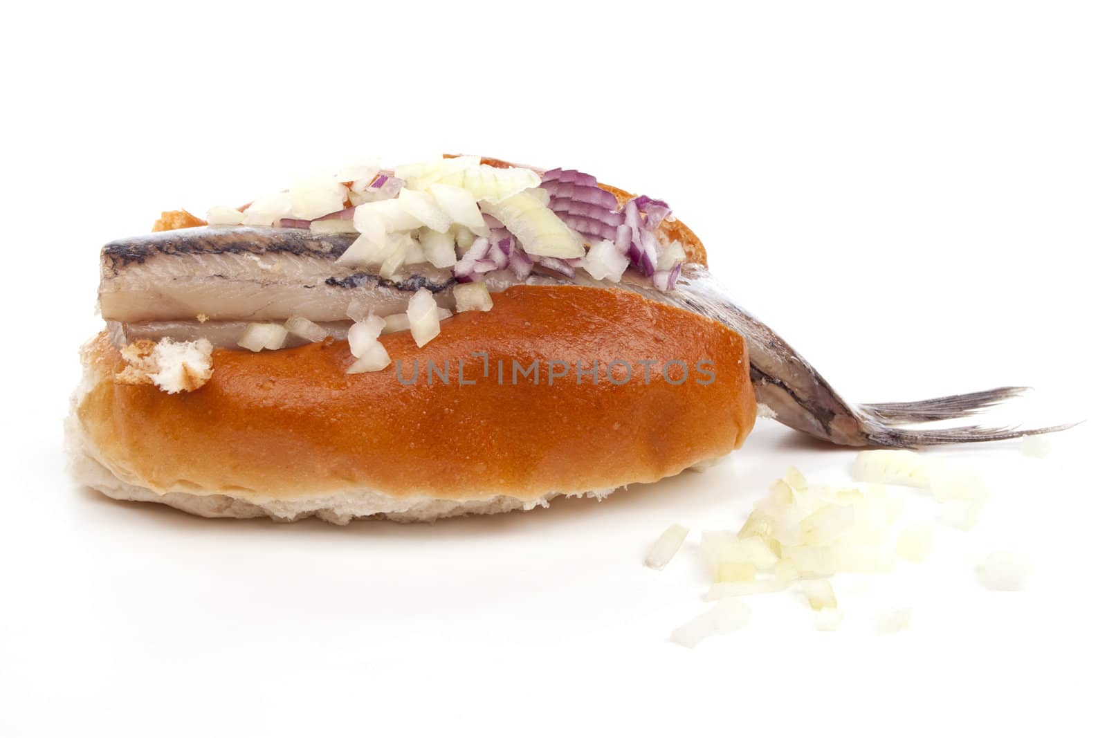 Typical Dutch salted herring called maatje or zoute haring
