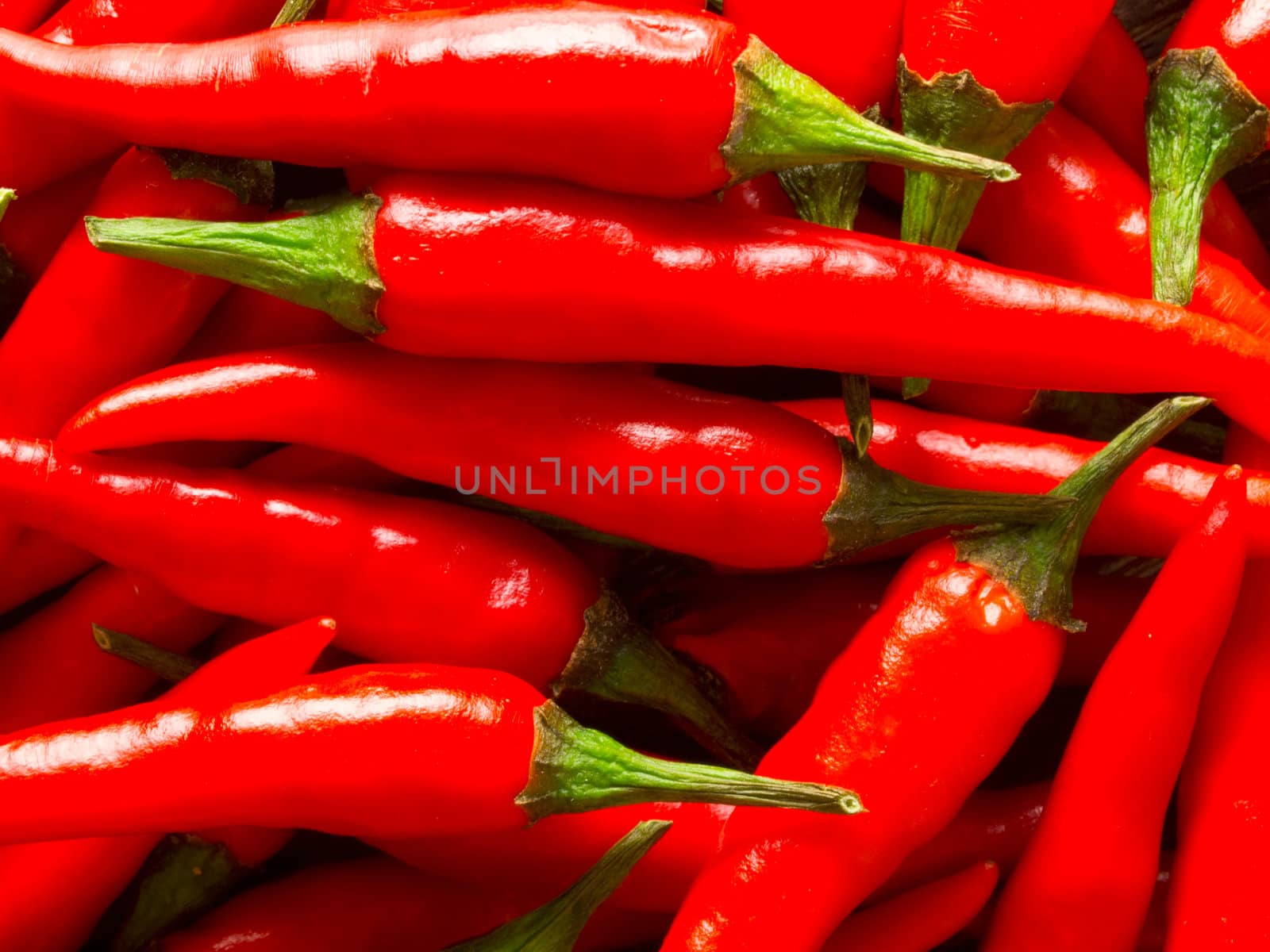 close up of red chili padi food background